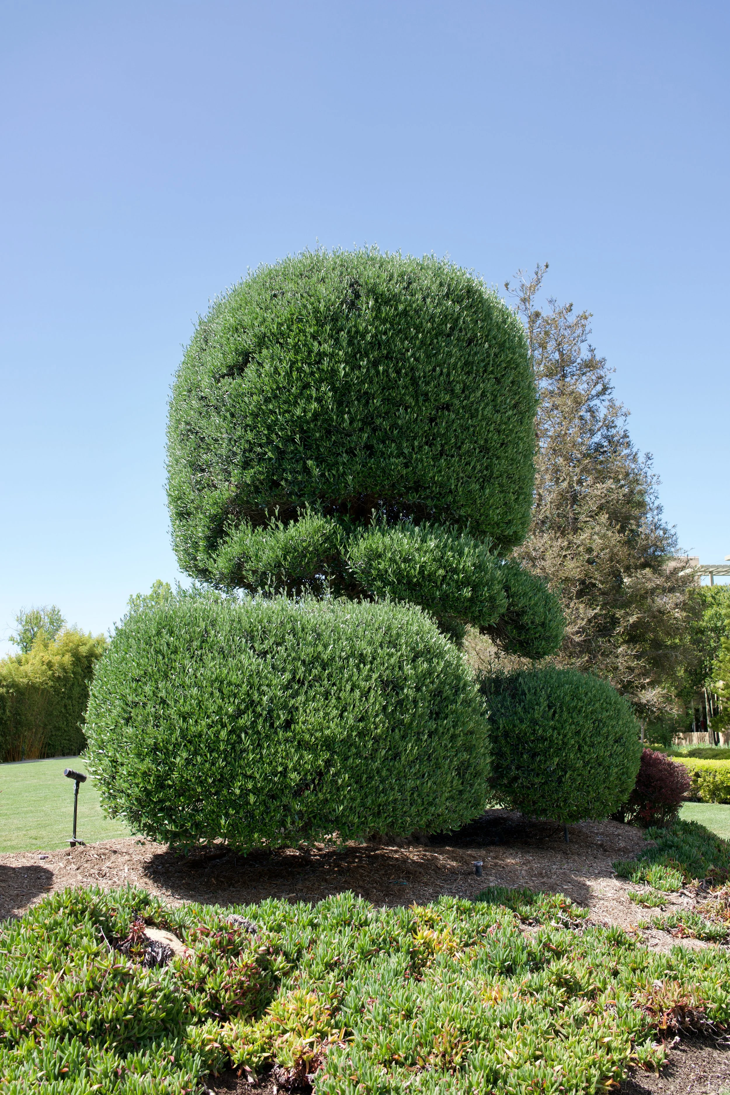  Equilibrium 2023:65 (2023) C-print on wood panel, 60”x40” 