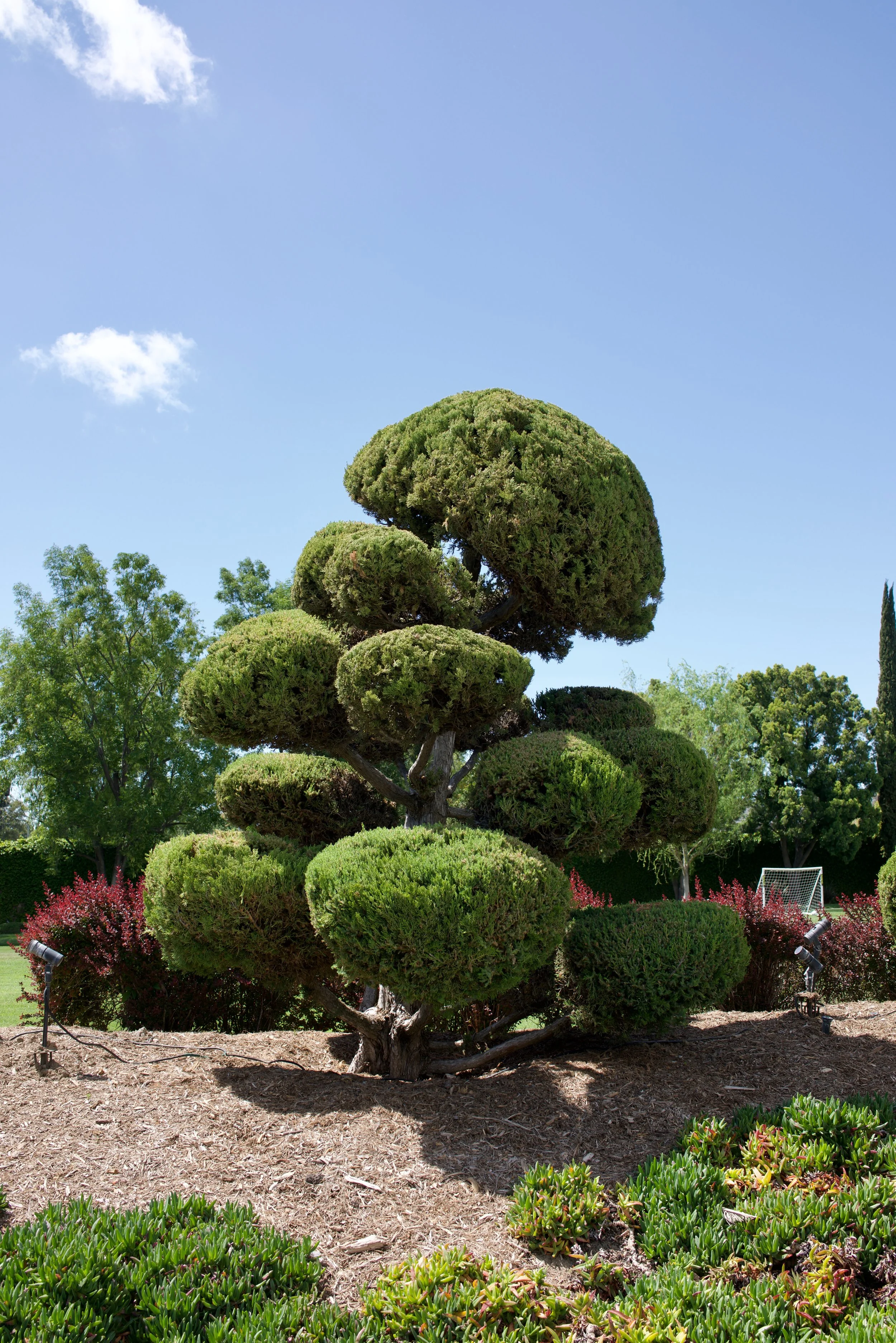  Equilibrium 2023:66 (2023) C-print on wood panel, 60”x40” 