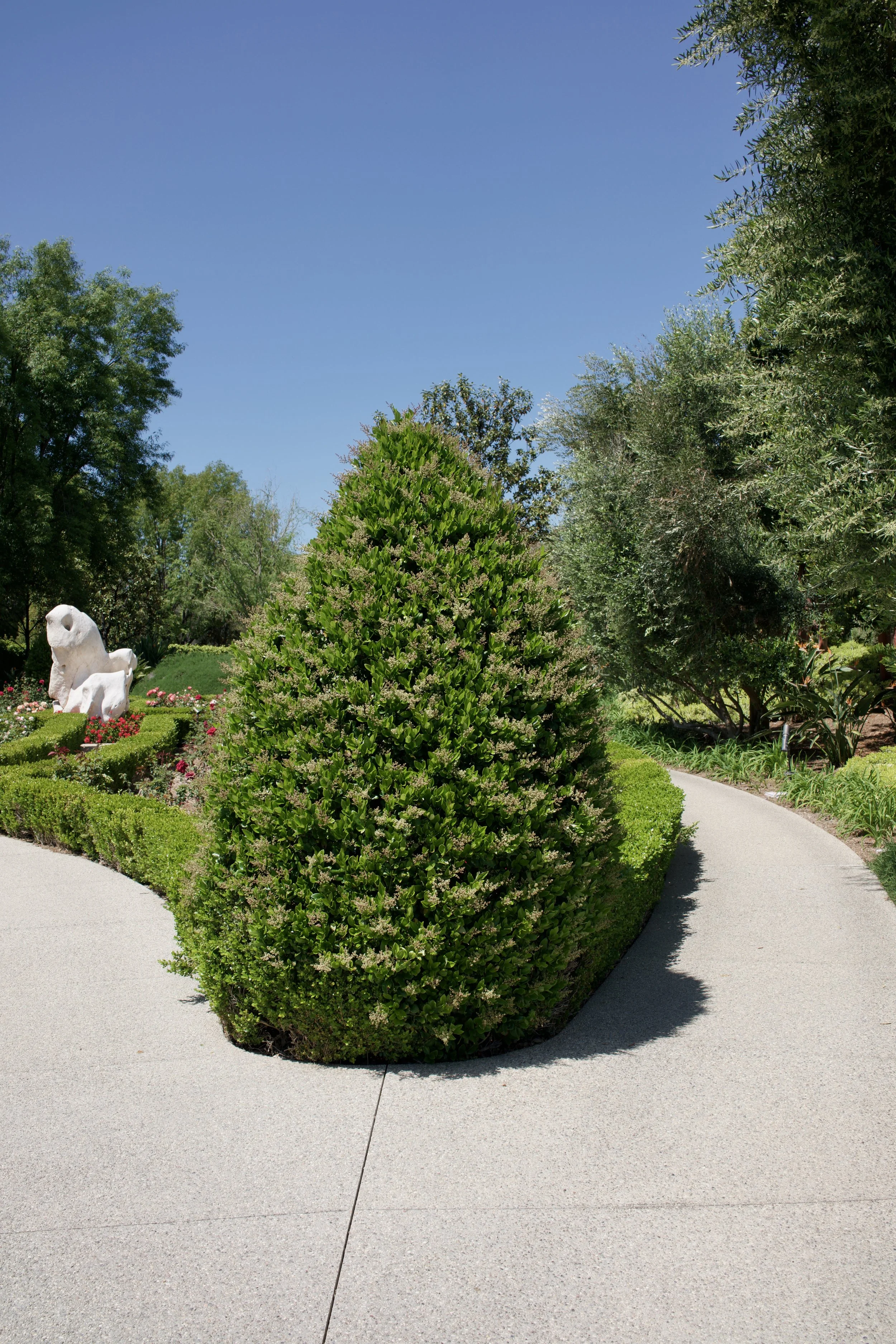  Equilibrium 2023:68 (2023) C-print on wood panel, 60”x40” 