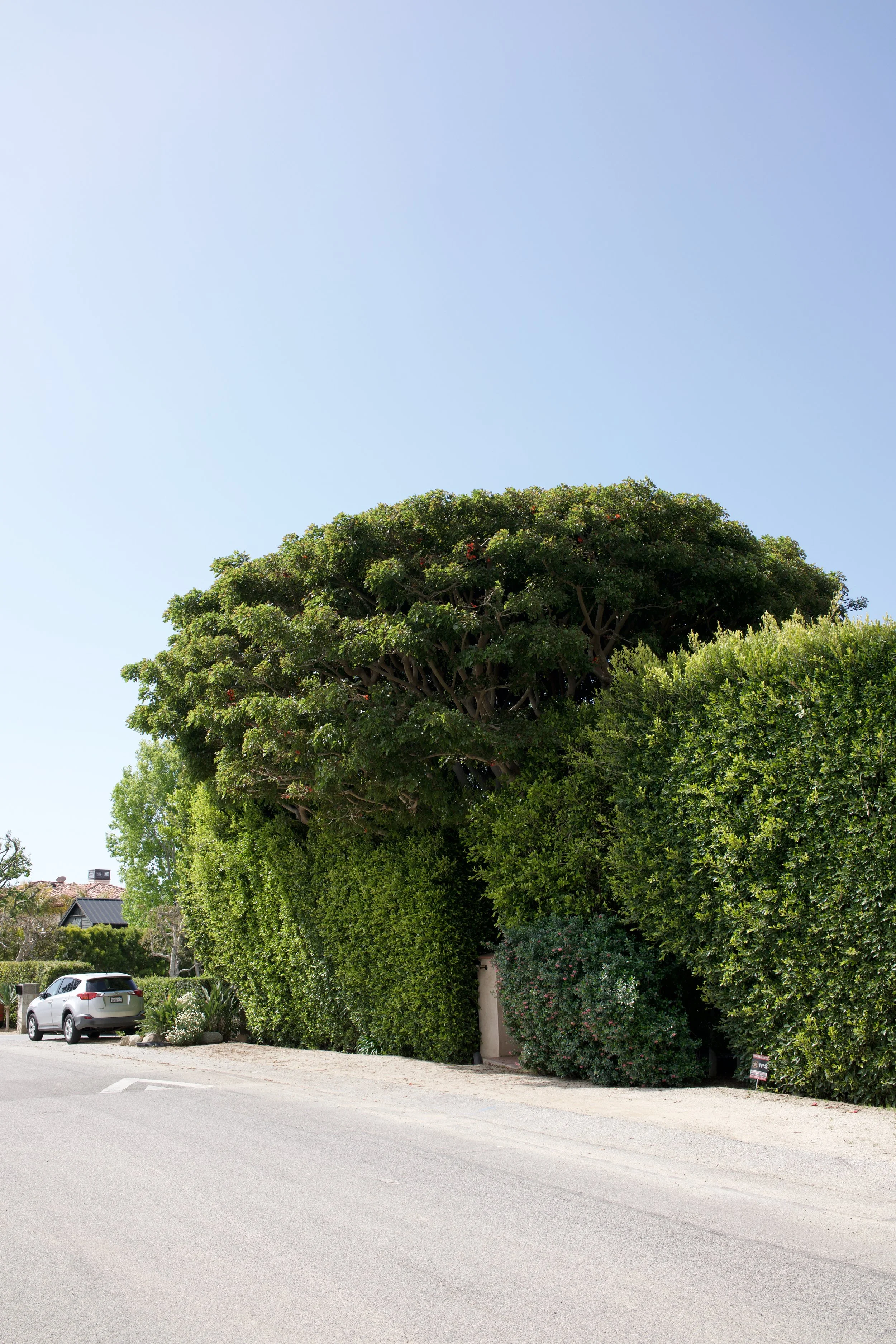  Equilibrium 2023:69 (2023) C-print on wood panel, 60”x40” 