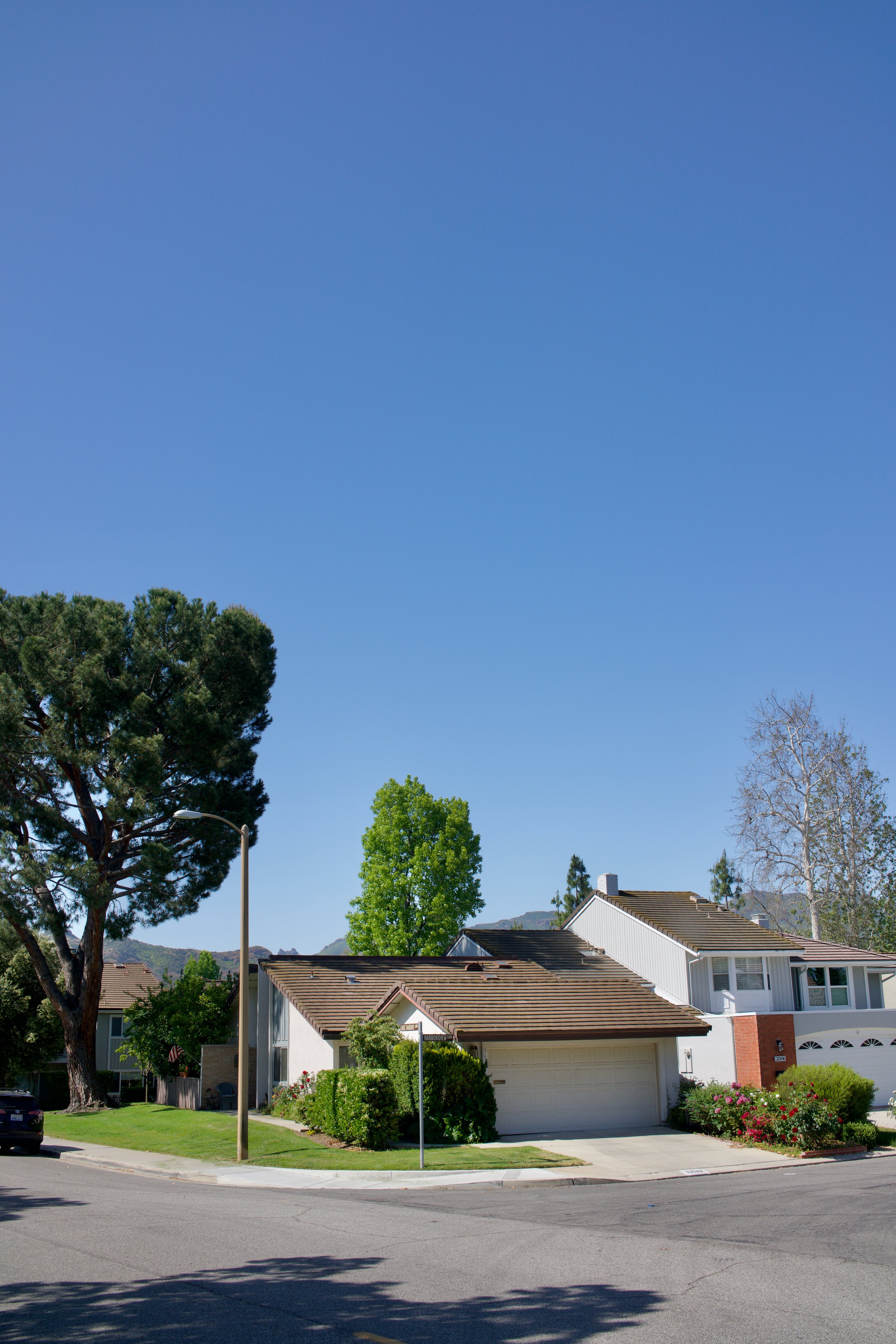  Equilibrium 2023:71 (2023) C-print on wood panel, 60”x40” 