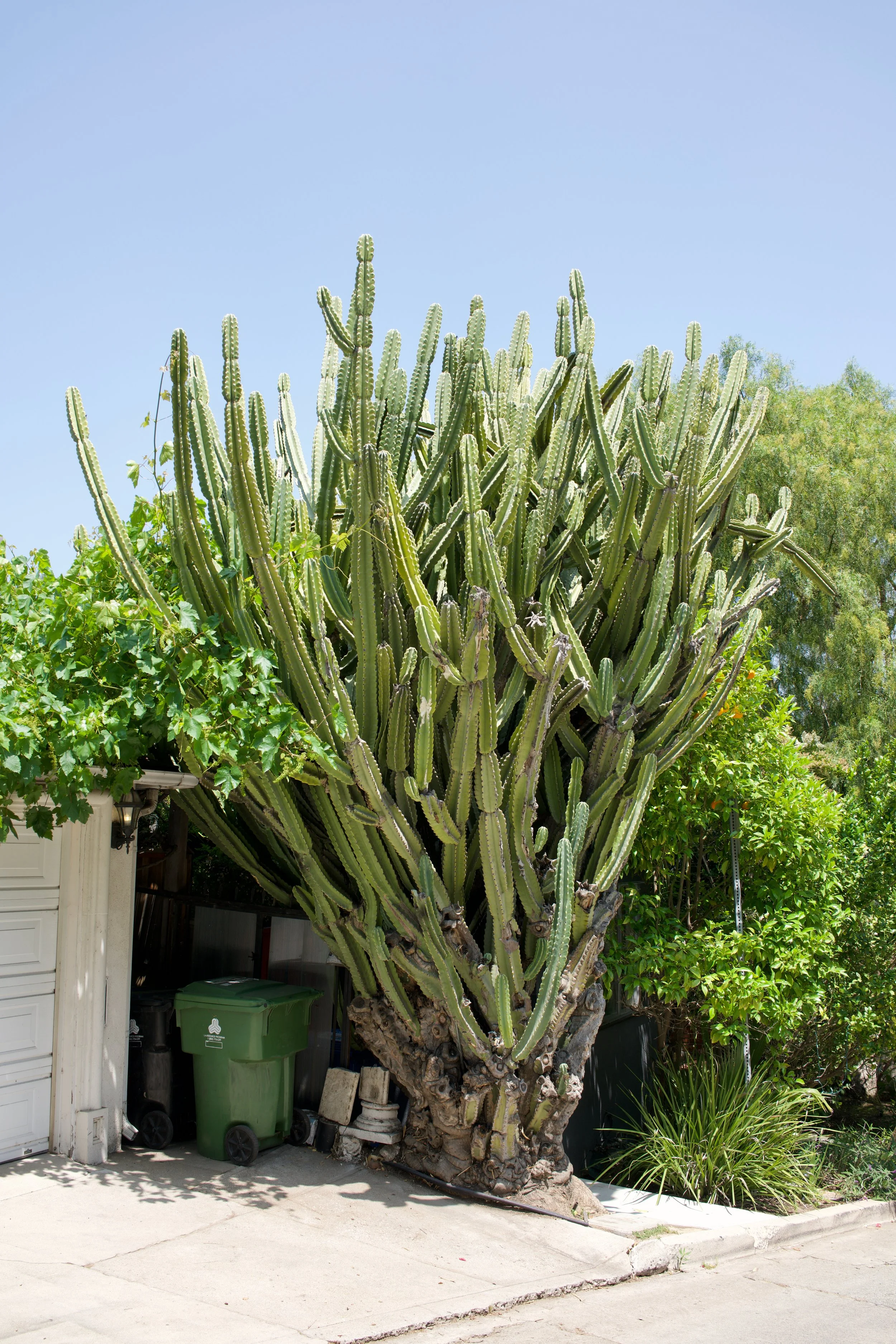  Equilibrium 2023:72 (2023) C-print on wood panel, 60”x40” 