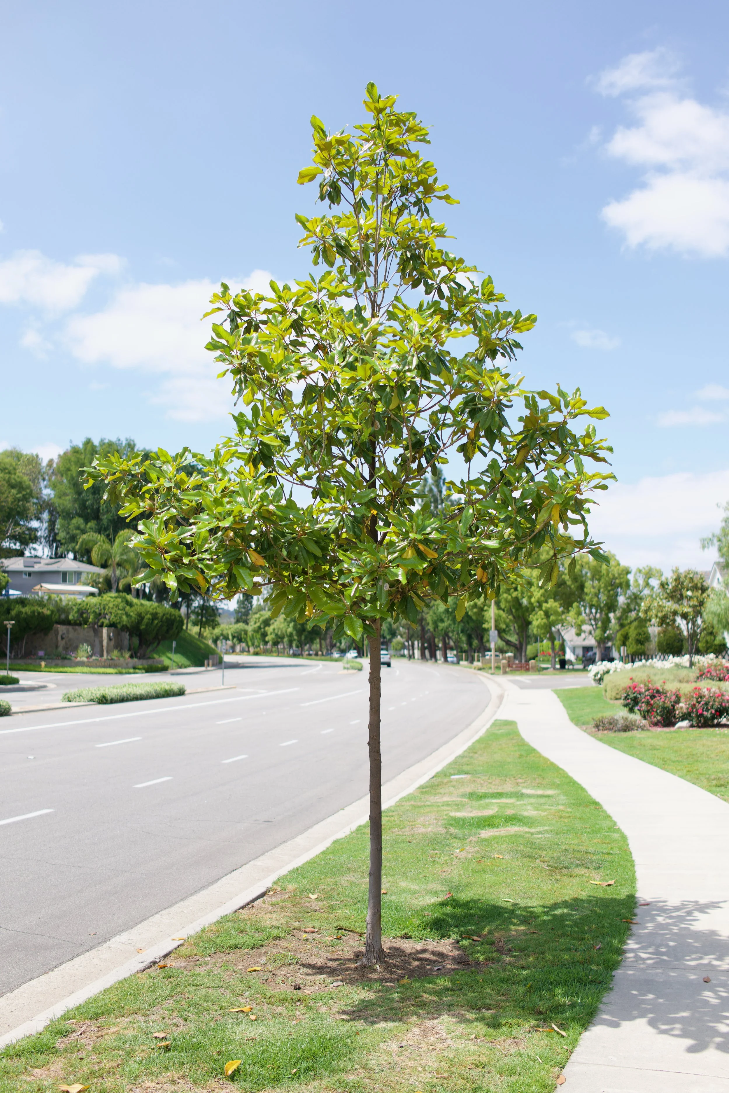  Equilibrium 2023:74 (2023) C-print on wood panel, 60”x40” 