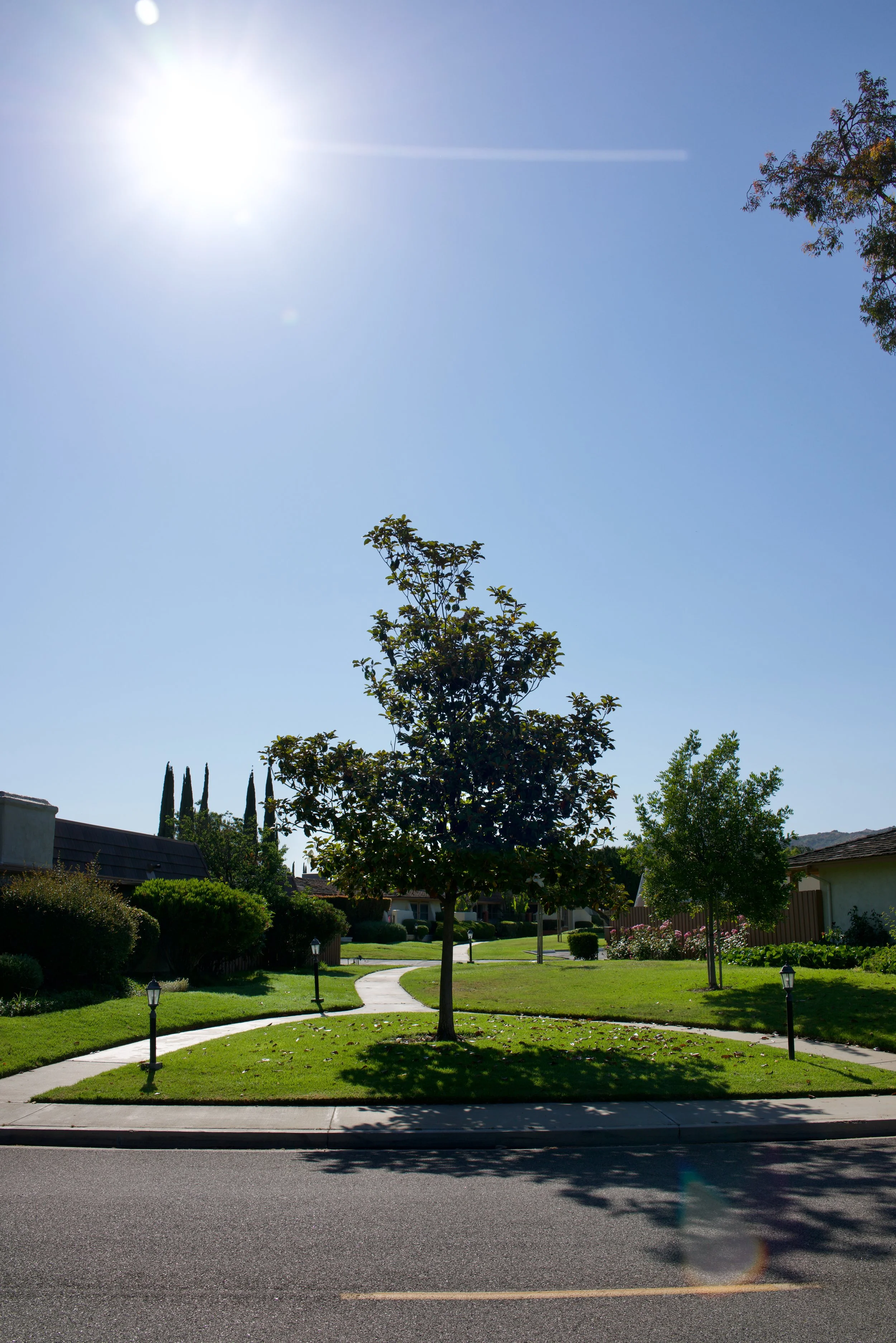  Equilibrium 2023:75 (2023) C-print on wood panel, 60”x40” 