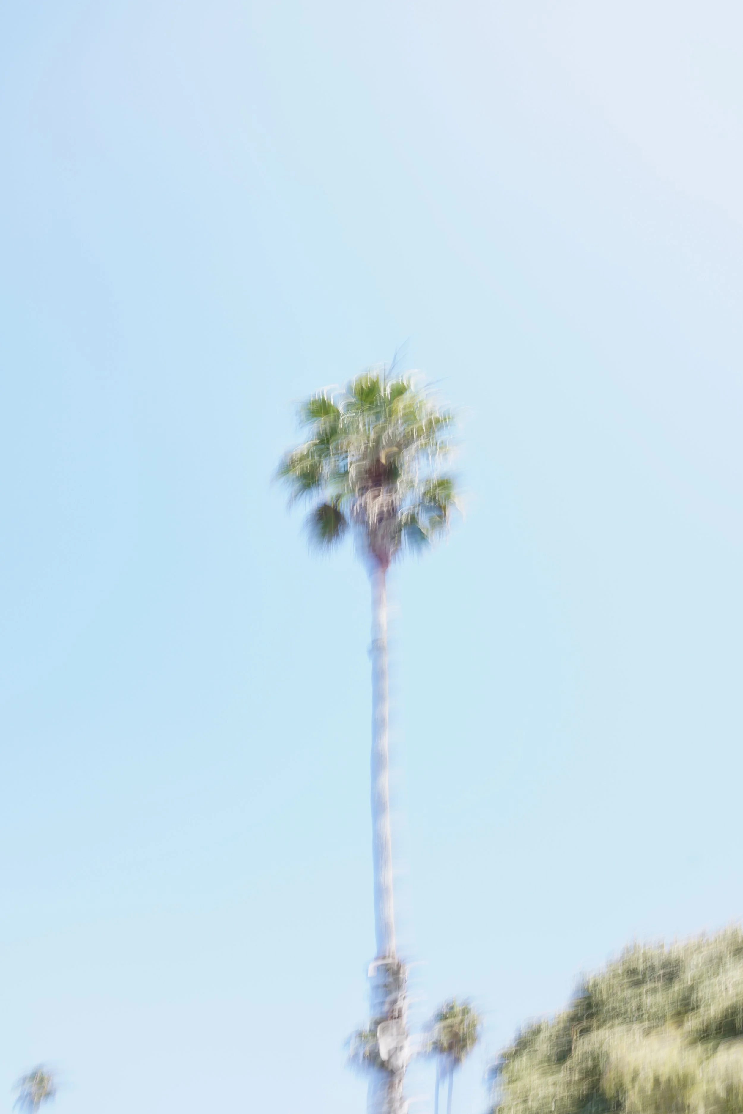  Equilibrium 2023:77 (2023) C-print on wood panel, 60”x40” 