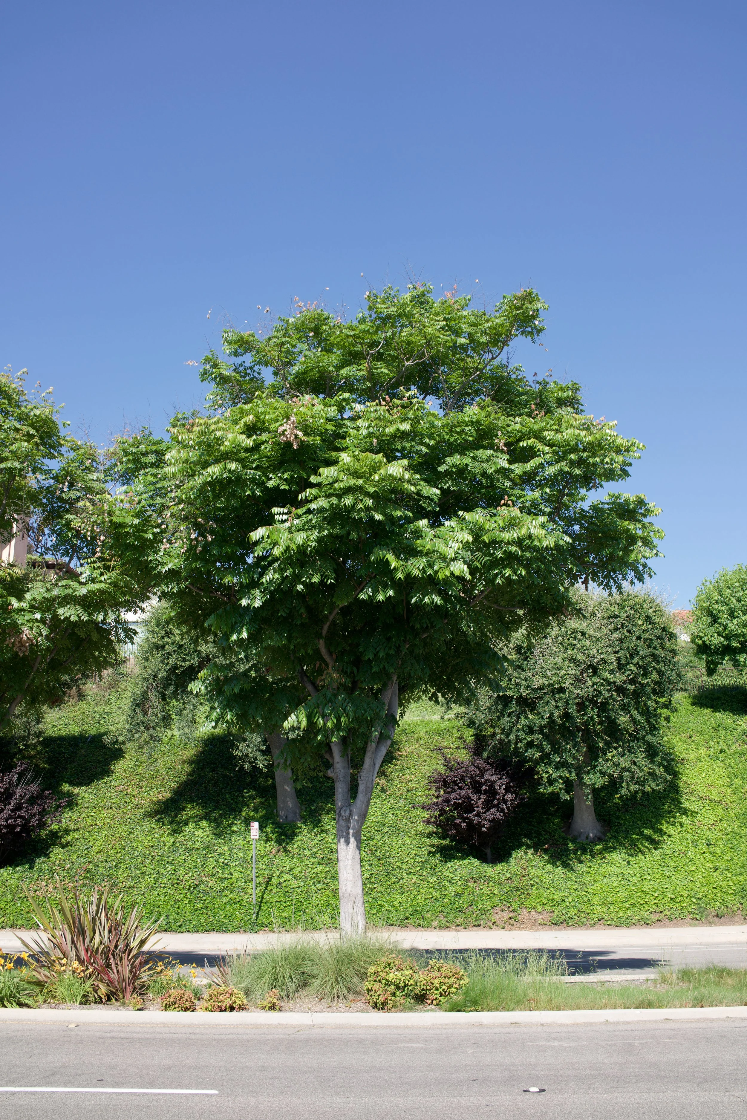  Equilibrium 2023:76 (2023) C-print on wood panel, 60”x40” 