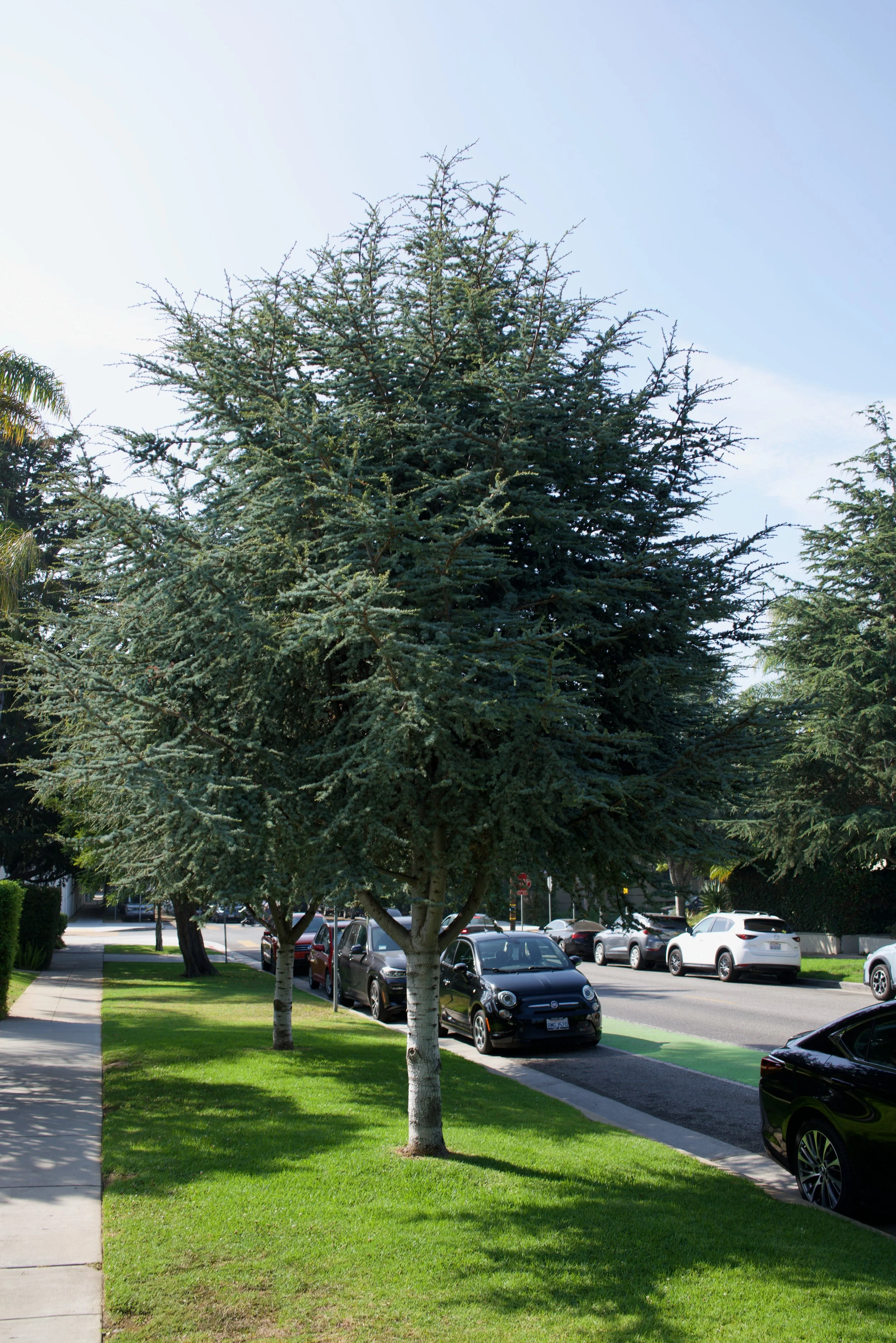  Equilibrium 2023:79 (2023) C-print on wood panel, 60”x40” 