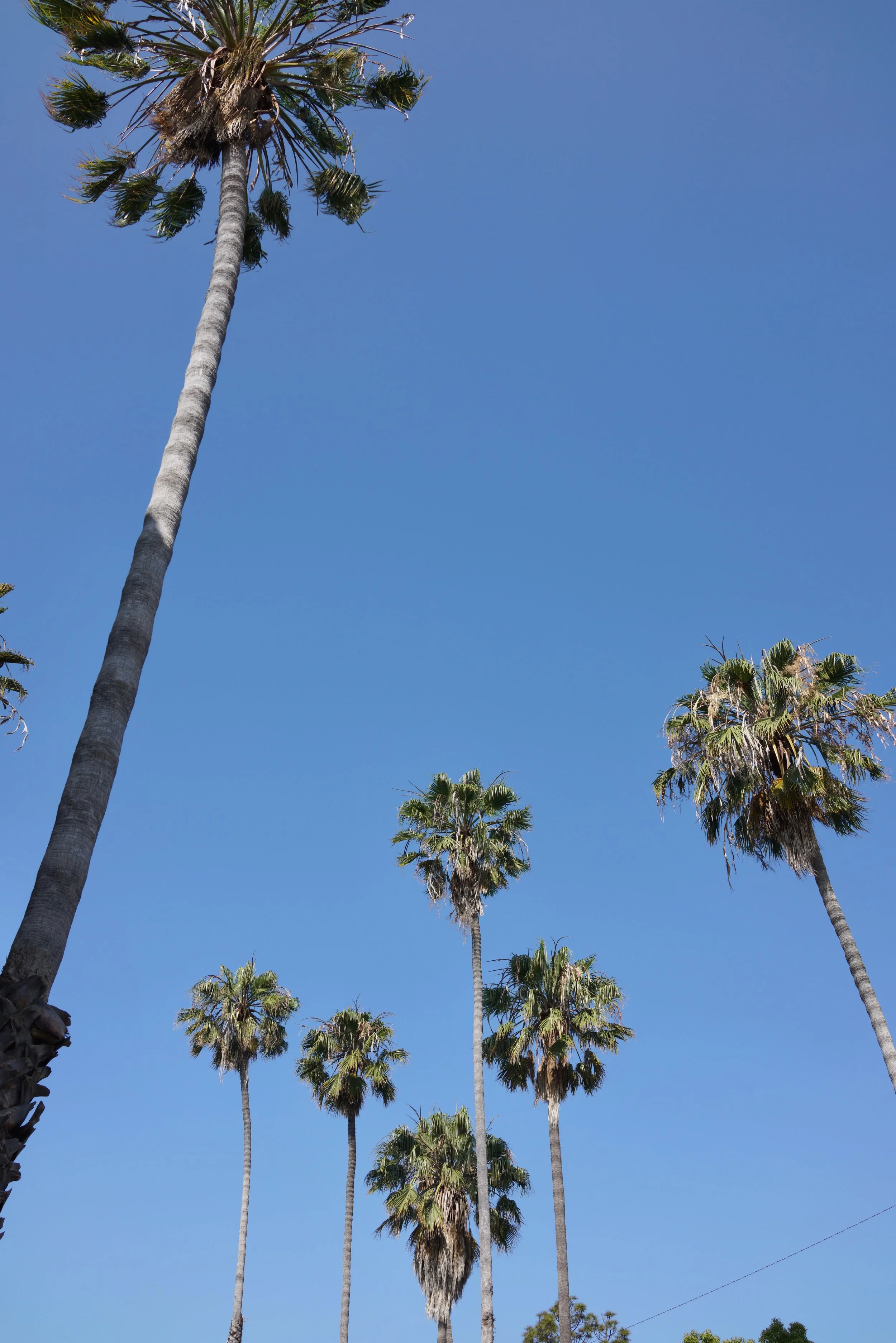  Equilibrium 2023:80 (2023) C-print on wood panel, 60”x40” 