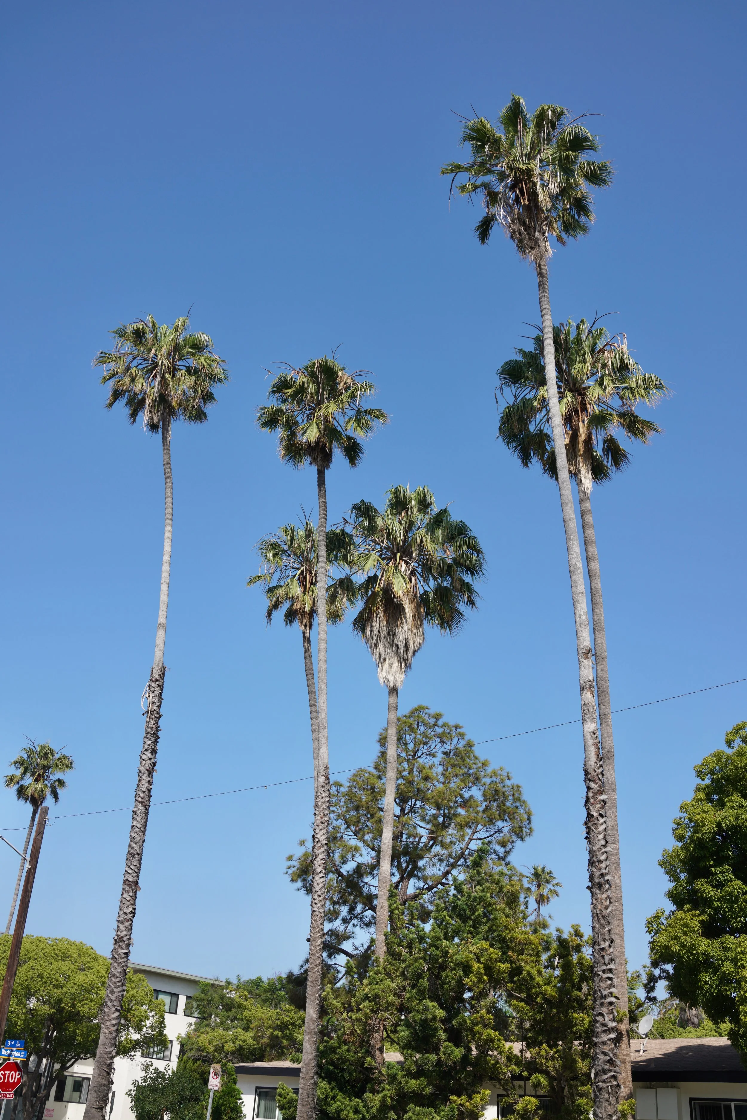  Equilibrium 2023:81 (2023) C-print on wood panel, 60”x40” 