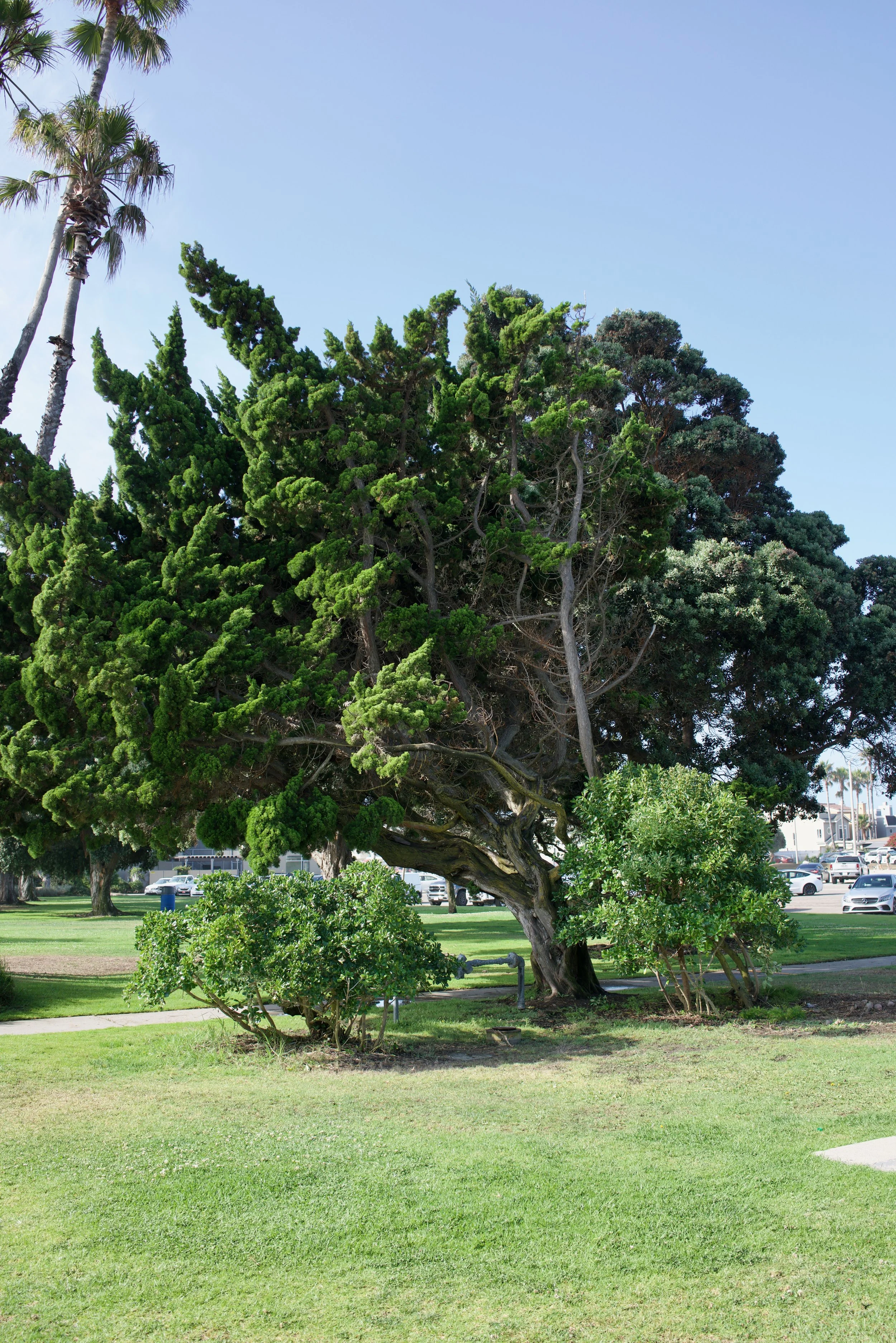  Equilibrium 2023:83 (2023) C-print on wood panel, 60”x40” 