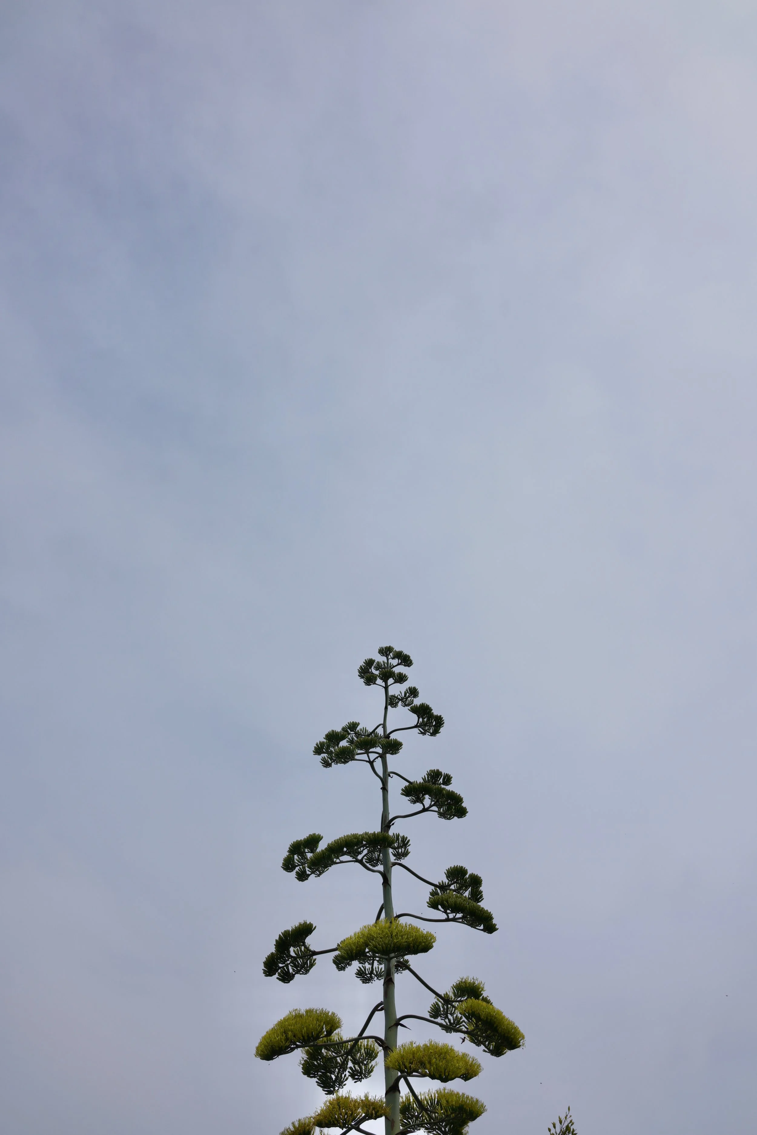  Equilibrium 2023:85 (2023) C-print on wood panel, 60”x40” 