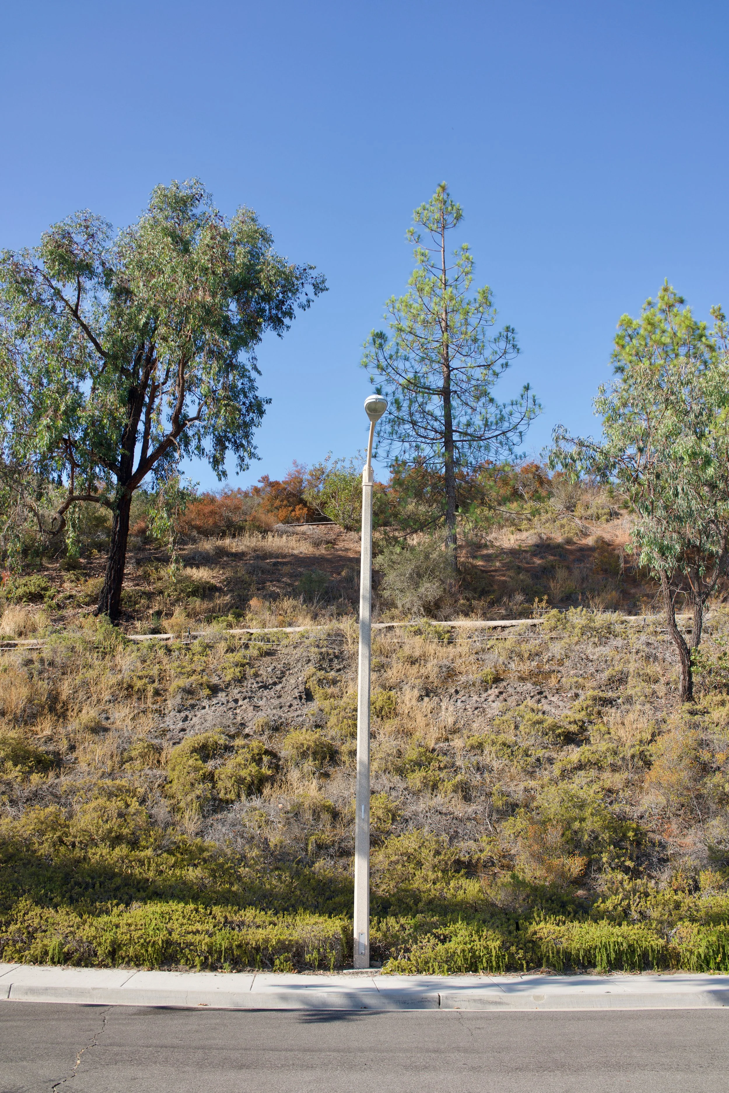  Equilibrium 2023:87 (2023) C-print on wood panel, 60”x40” 