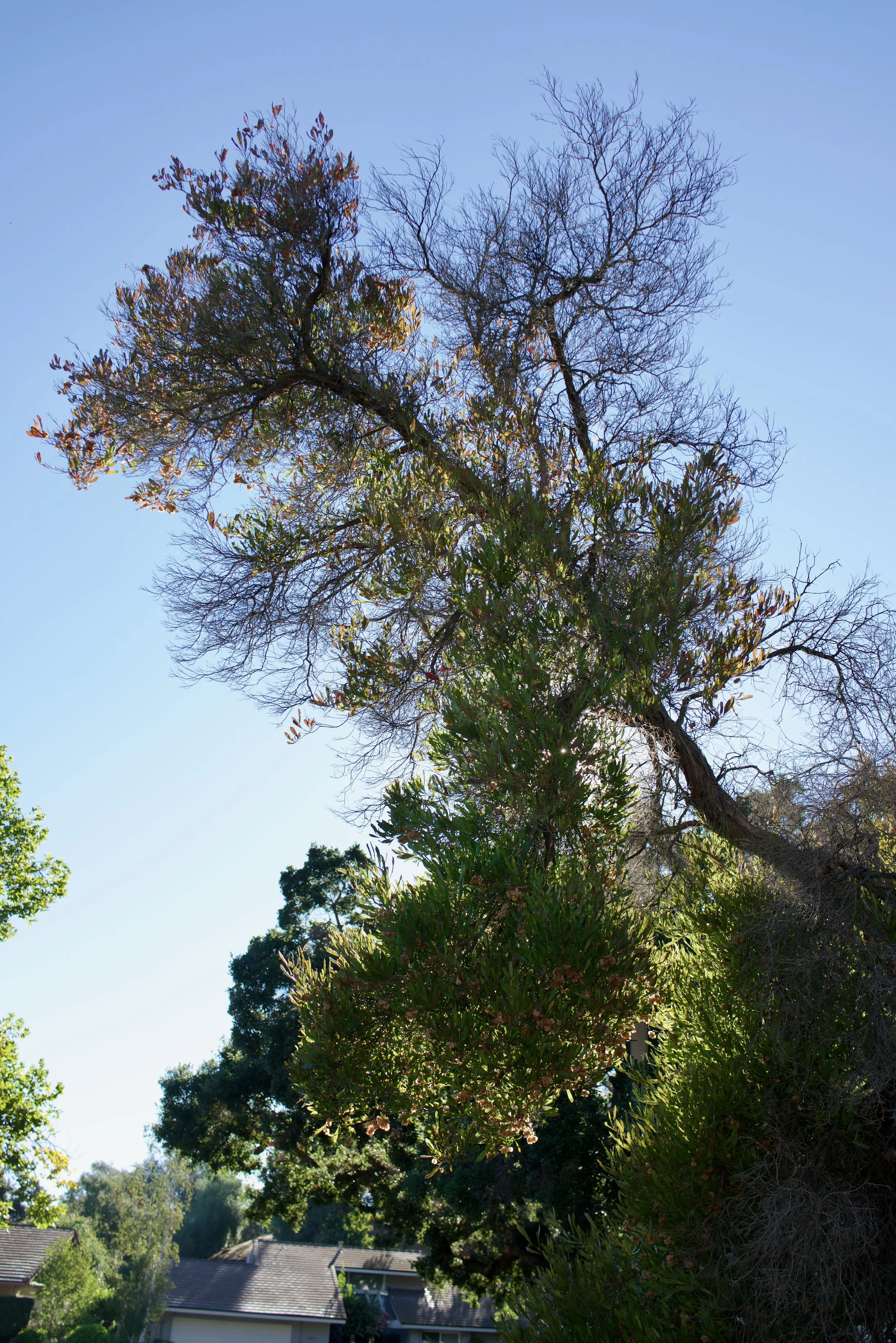  Equilibrium 2023:91 (2023) C-print on wood panel, 60”x40” 