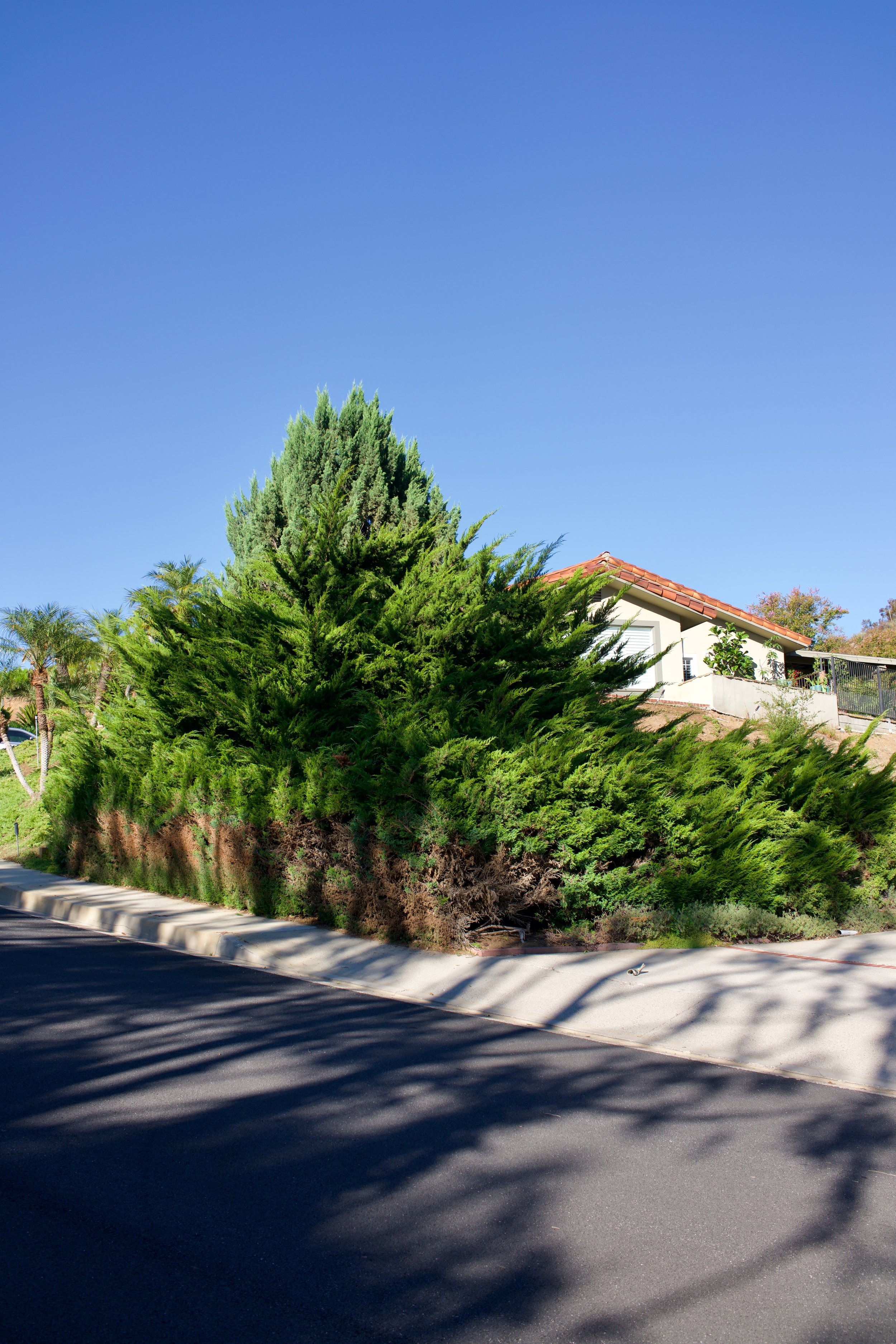  Equilibrium 2023:92 (2023) C-print on wood panel, 60”x40” 