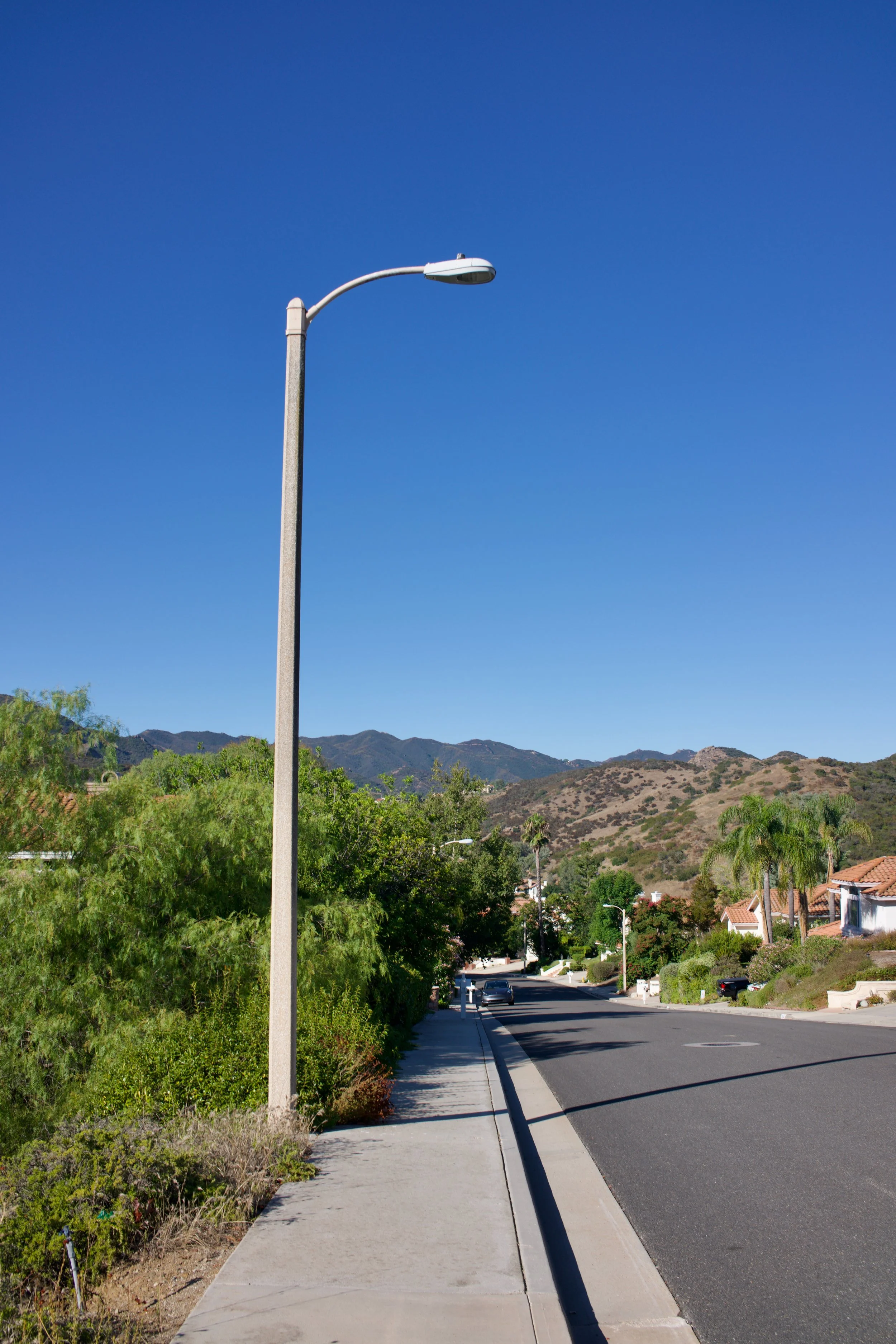  Equilibrium 2023:95 (2023) C-print on wood panel, 60”x40” 