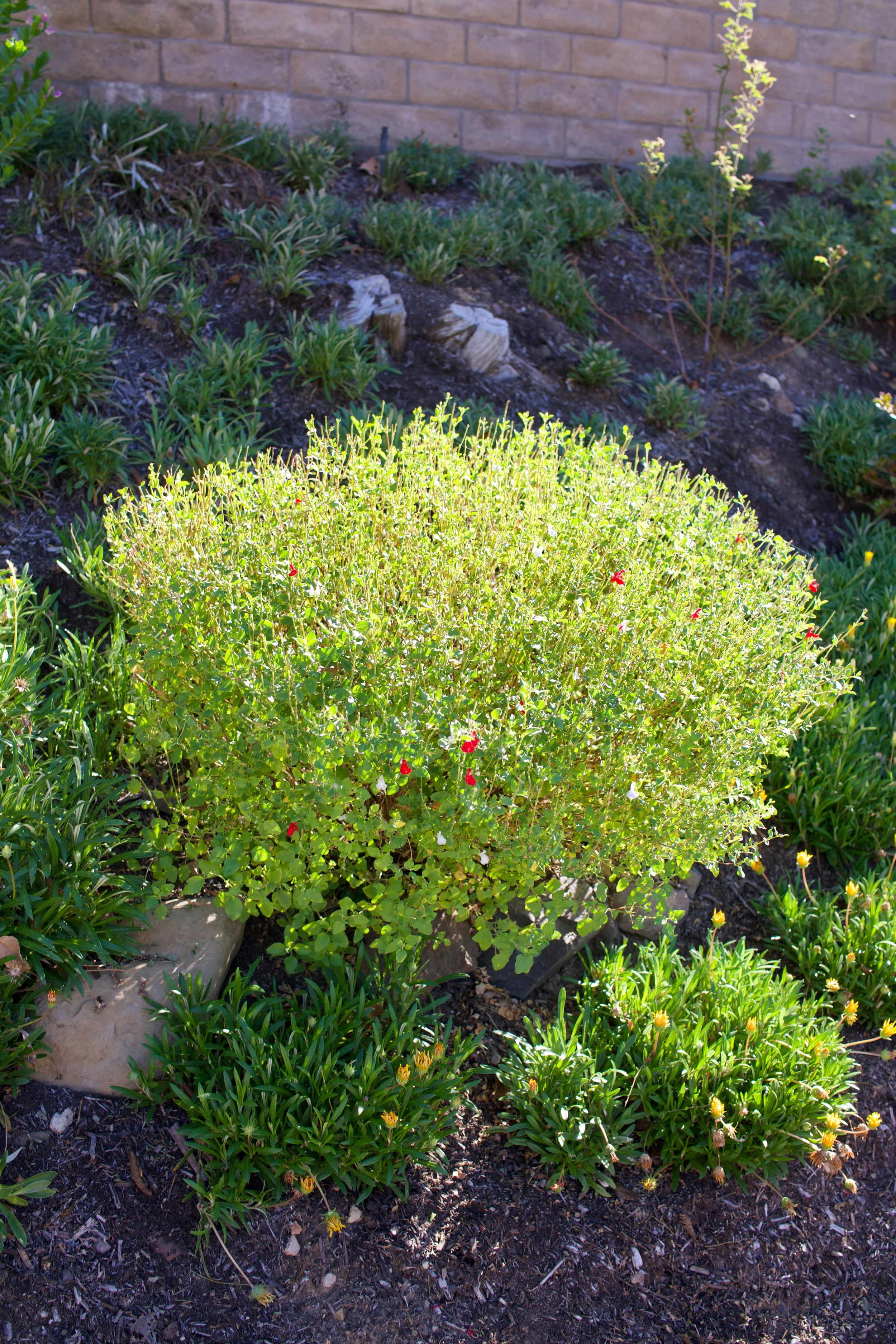  Equilibrium 2023:96 (2023) C-print on wood panel, 60”x40” 