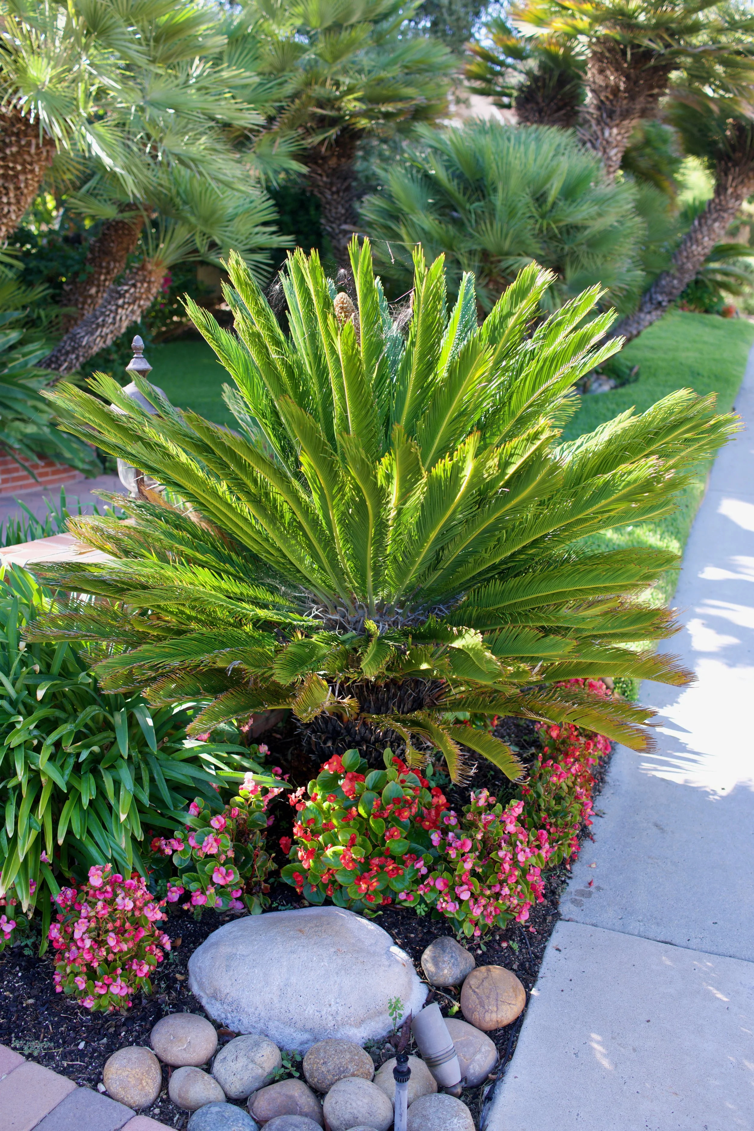  Equilibrium 2023:98 (2023) C-print on wood panel, 60”x40” 