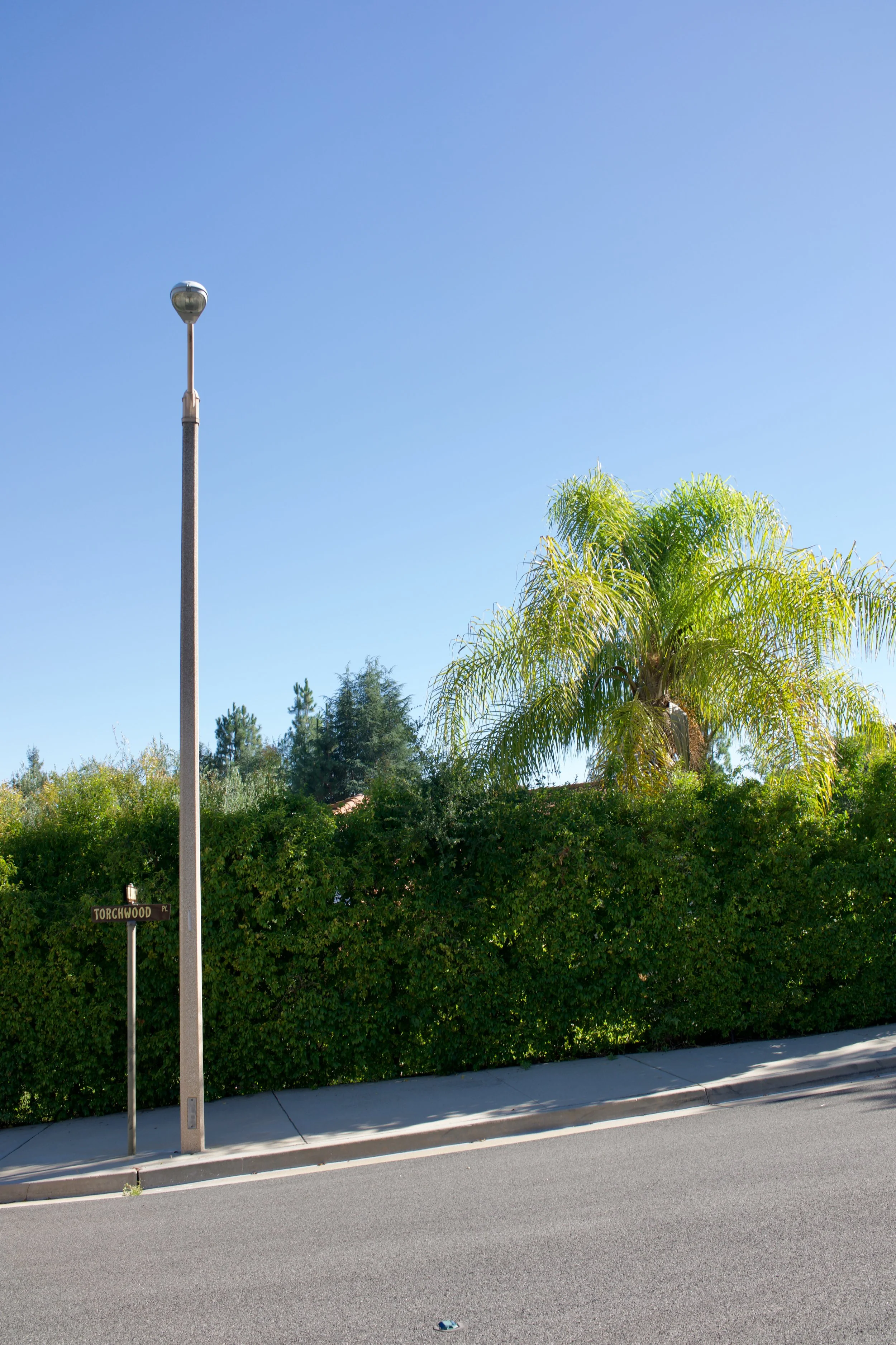  Equilibrium 2023:100 (2023) C-print on wood panel, 60”x40” 