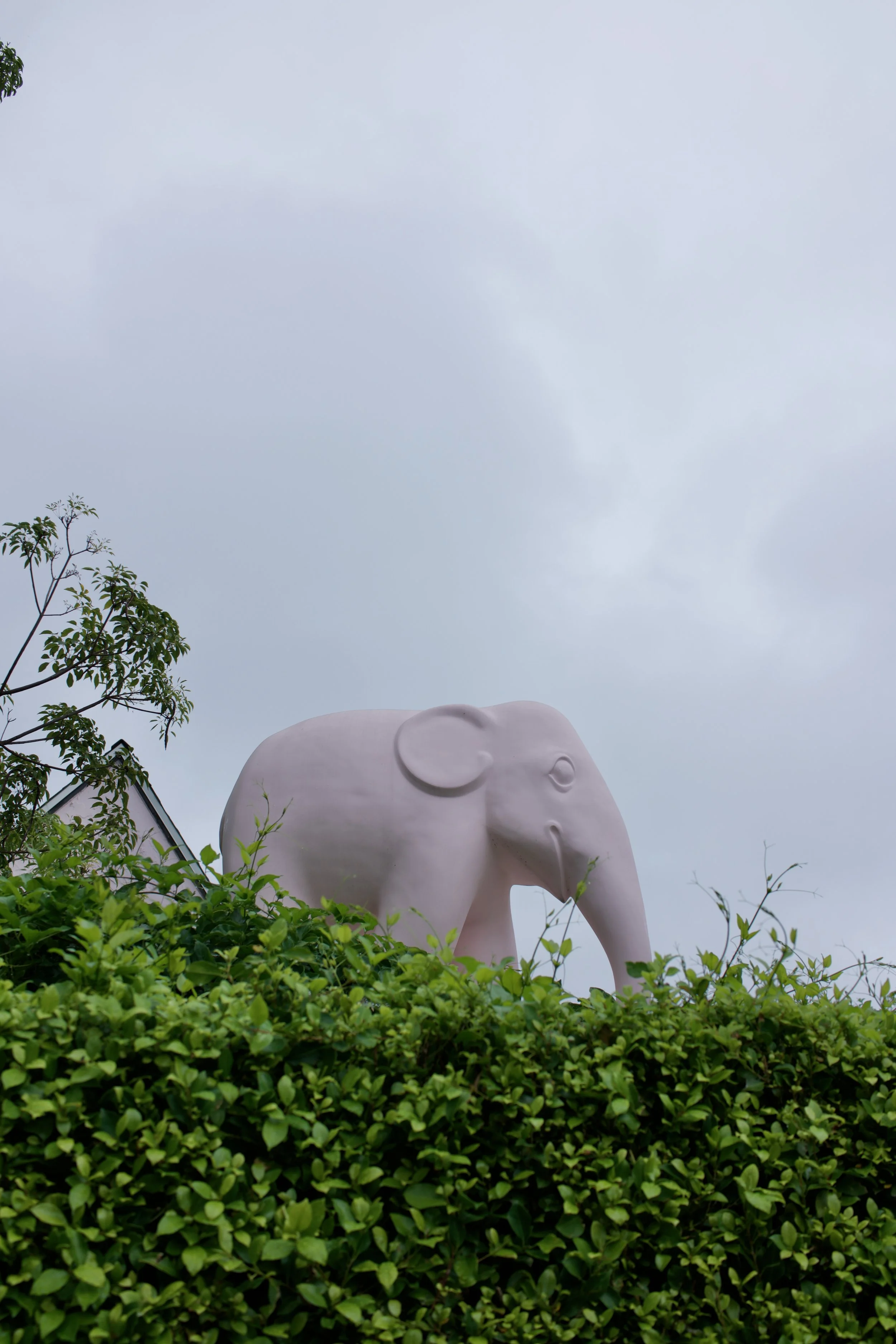  Equilibrium 2023:102 (2023) C-print on wood panel, 60”x40” 