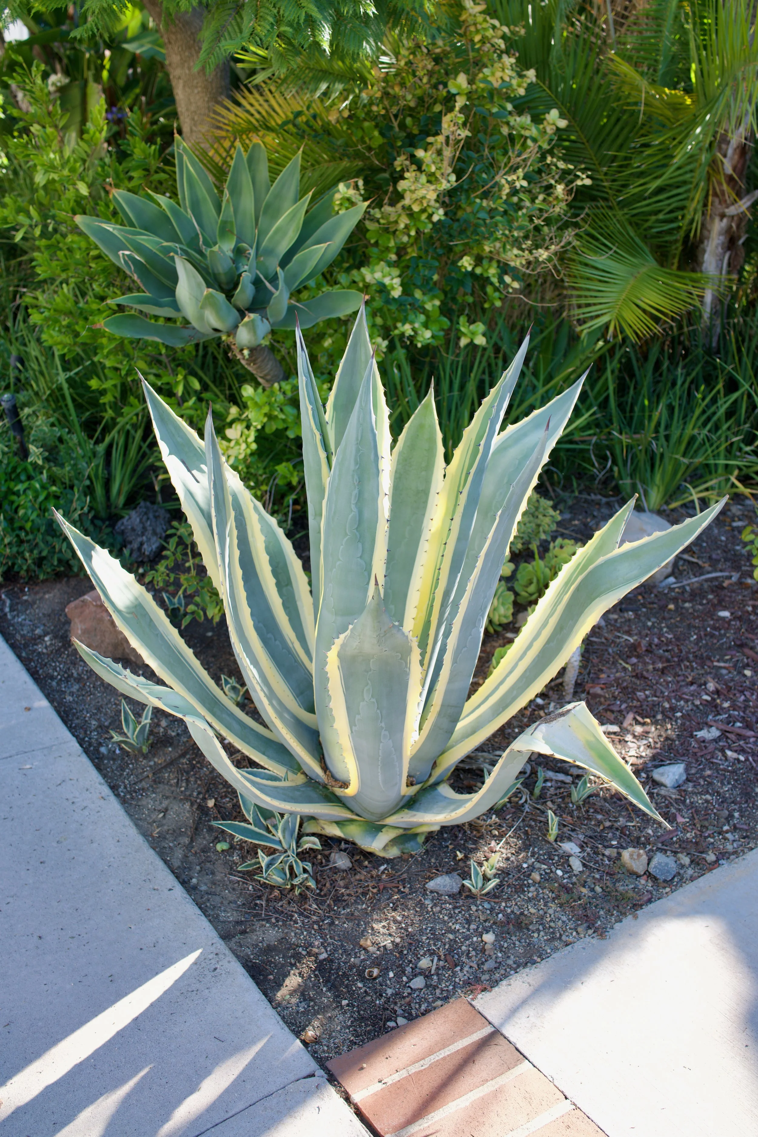  Equilibrium 2023:101 (2023) C-print on wood panel, 60”x40” 