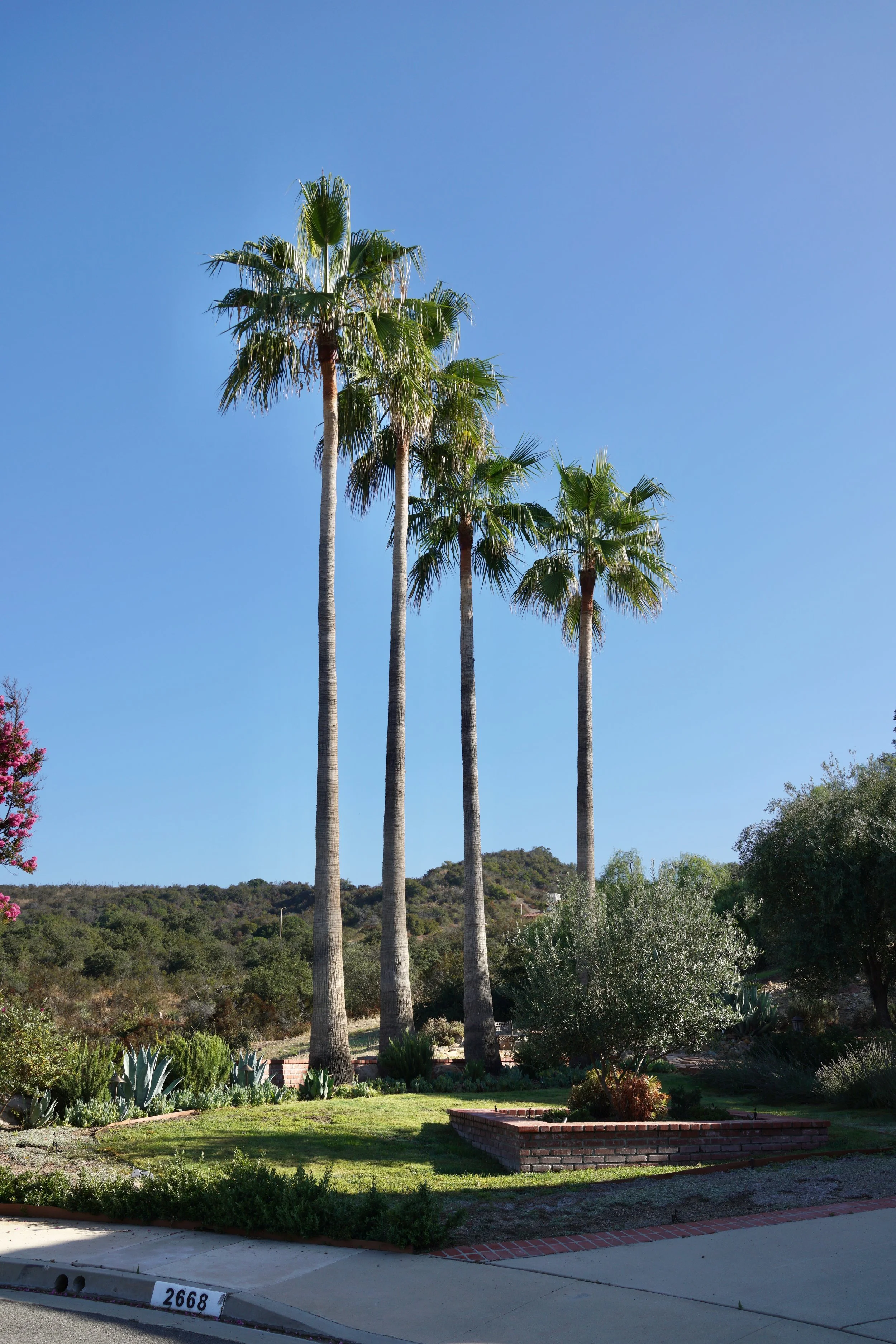  Equilibrium 2023:103 (2023) C-print on wood panel, 60”x40” 