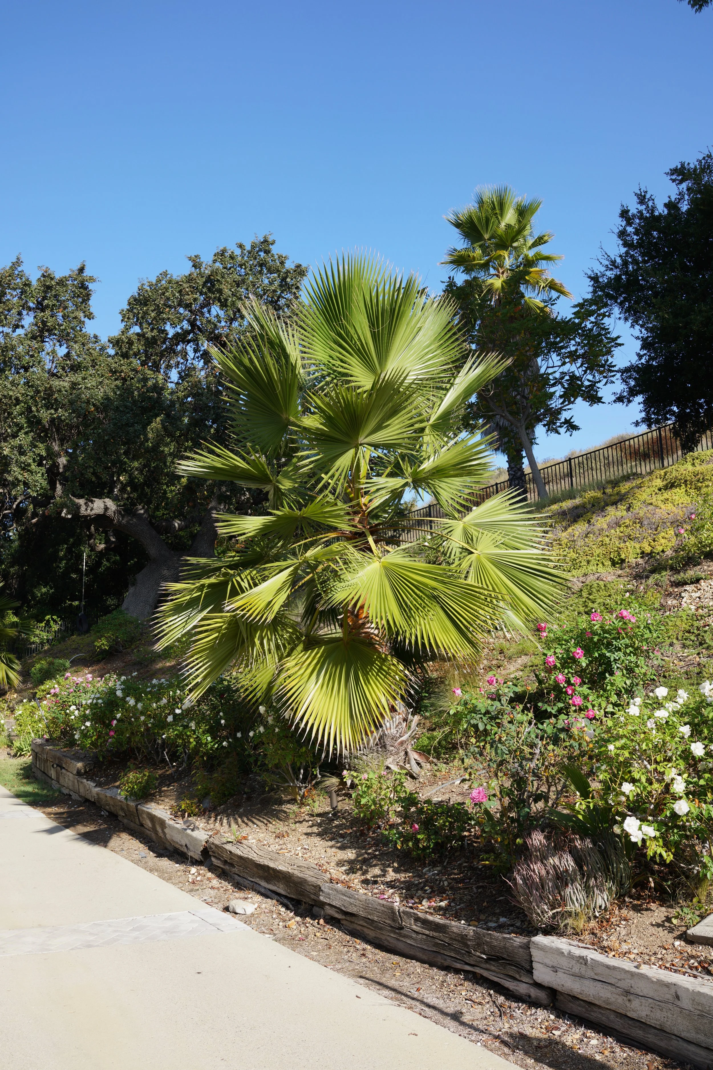  Equilibrium 2023:104 (2023) C-print on wood panel, 60”x40” 