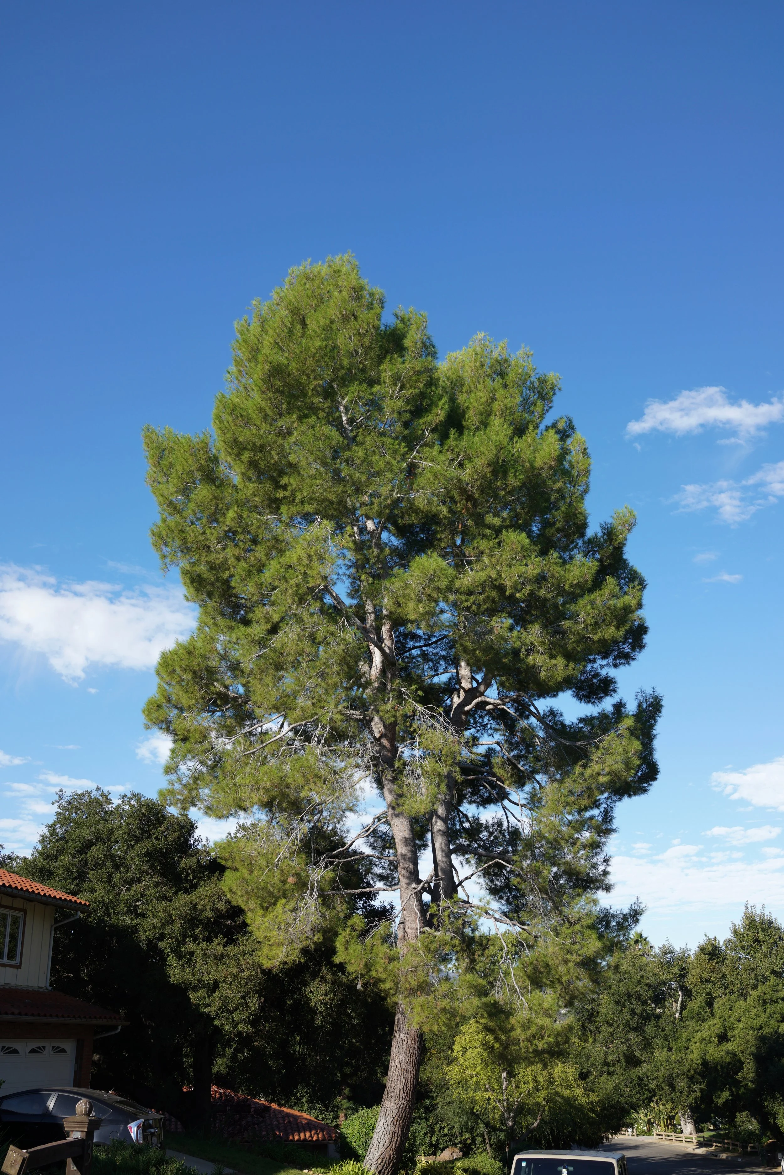  Equilibrium 2023:105 (2023) C-print on wood panel, 60”x40” 