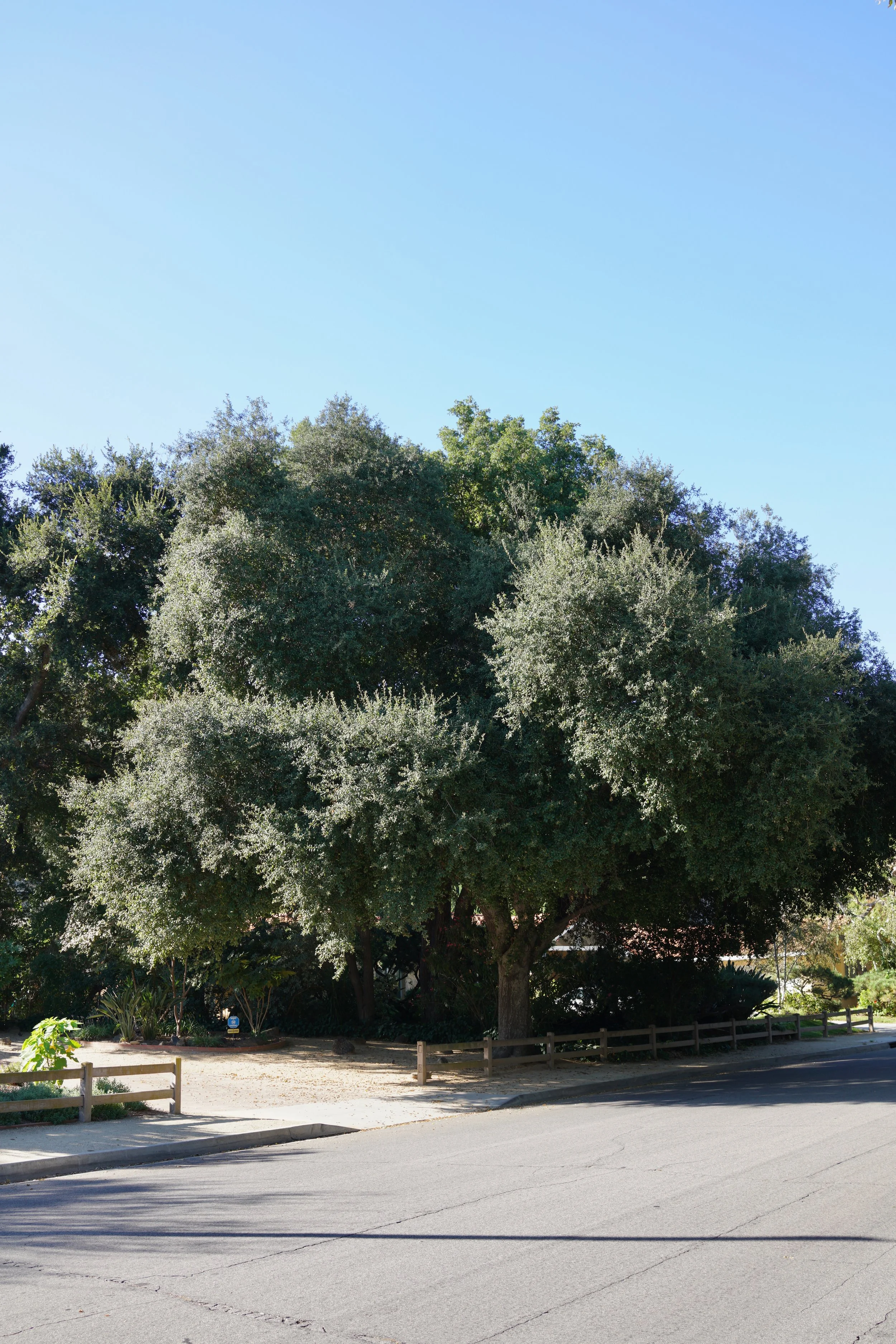  Equilibrium 2023:106 (2023) C-print on wood panel, 60”x40” 