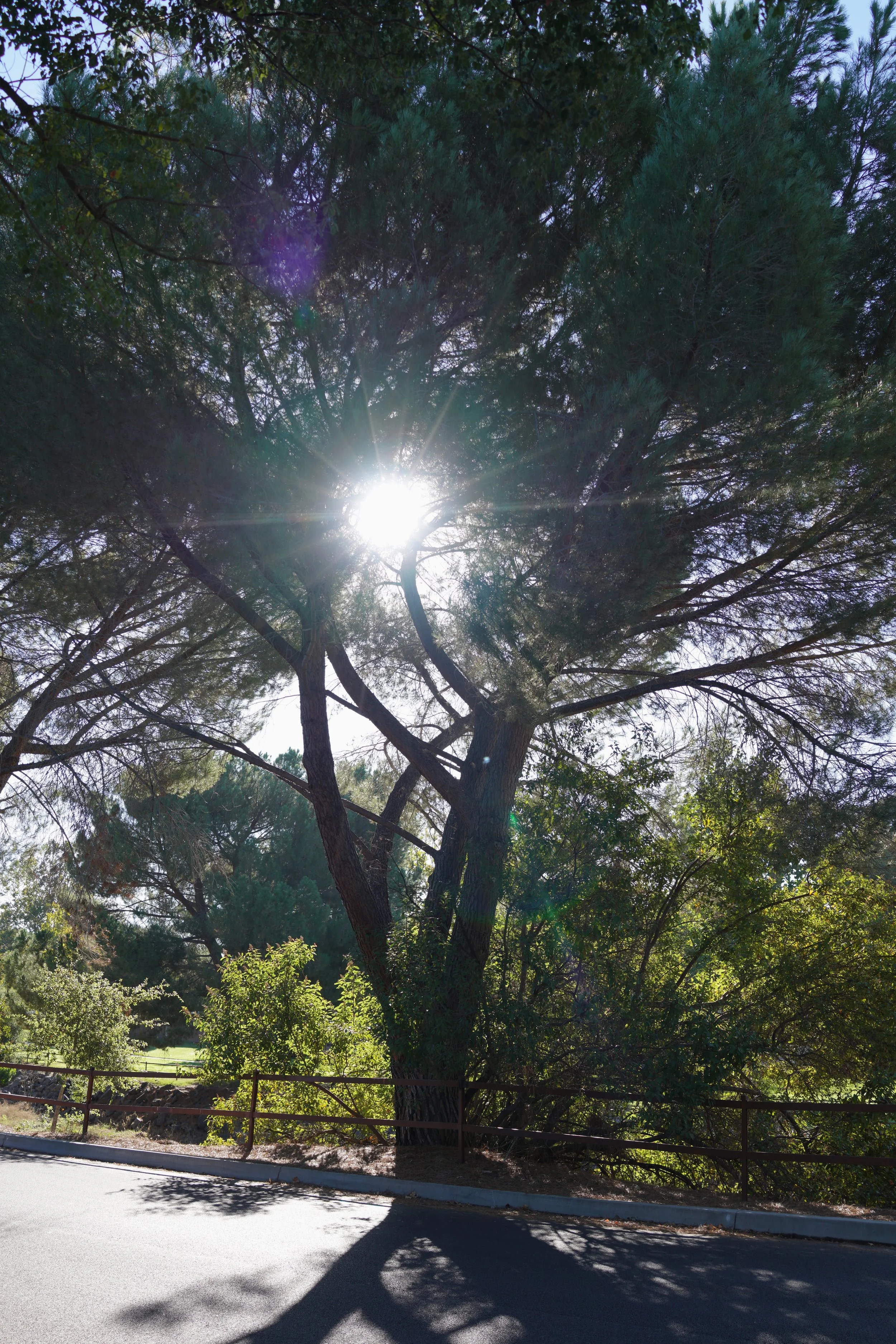  Equilibrium 2023:107 (2023) C-print on wood panel, 60”x40” 