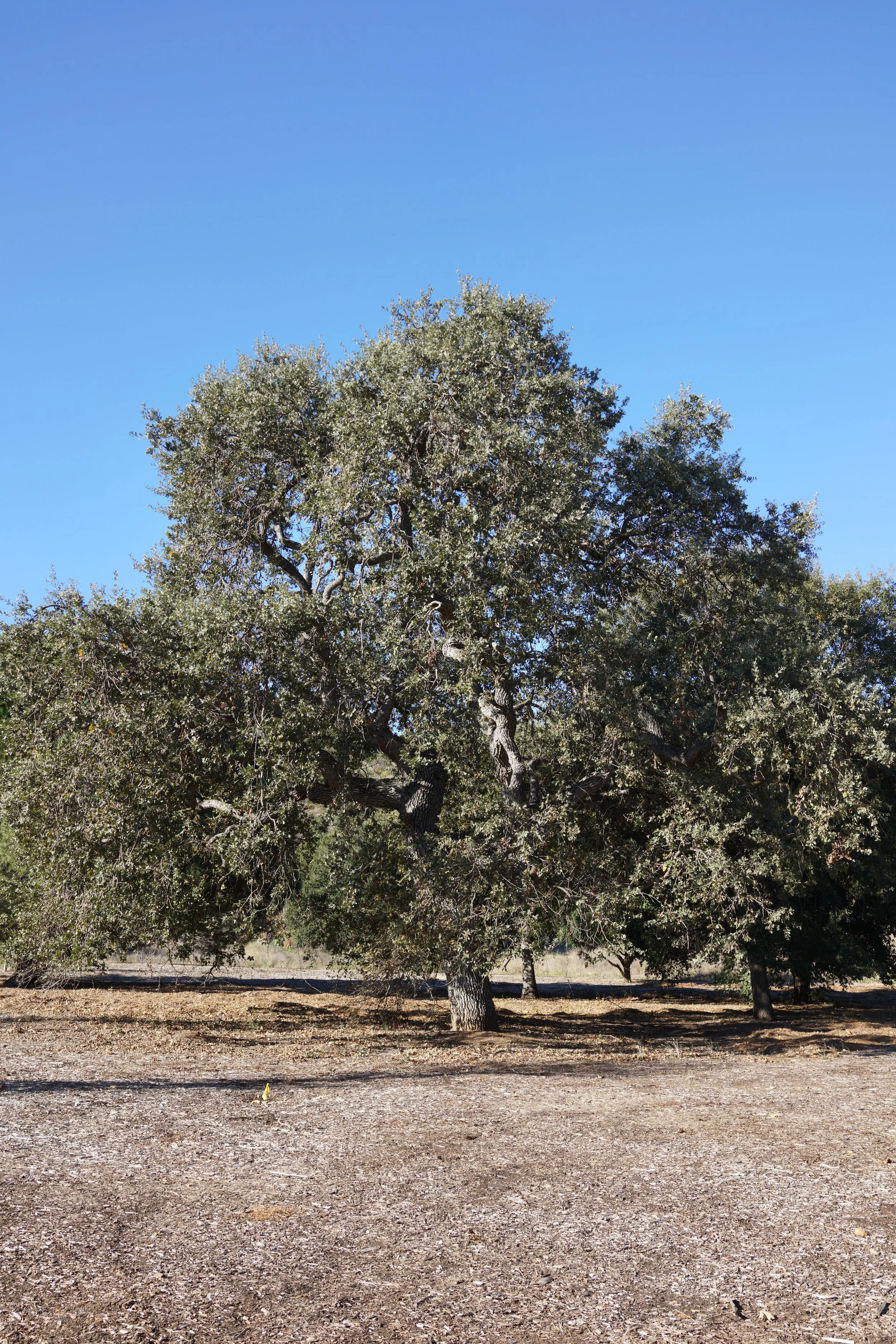  Equilibrium 2023:112 (2023) C-print on wood panel, 60”x40” 