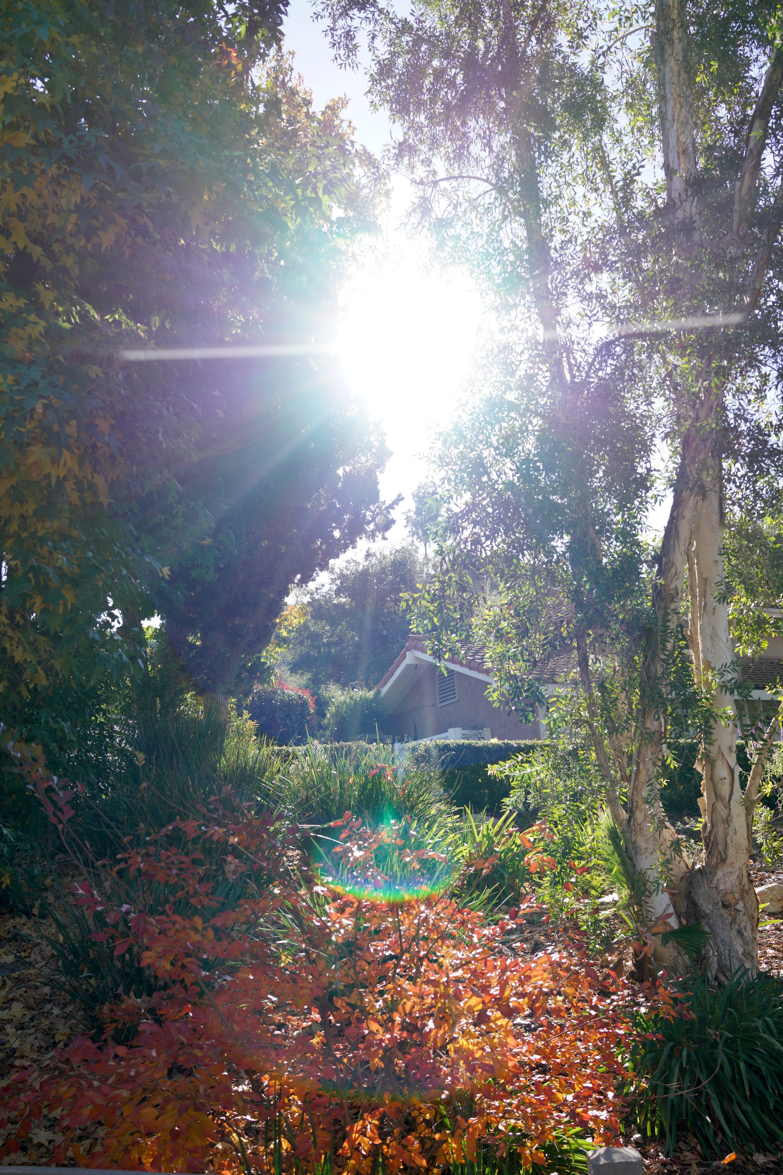  Equilibrium 2023:113 (2023) C-print on wood panel, 60”x40” 