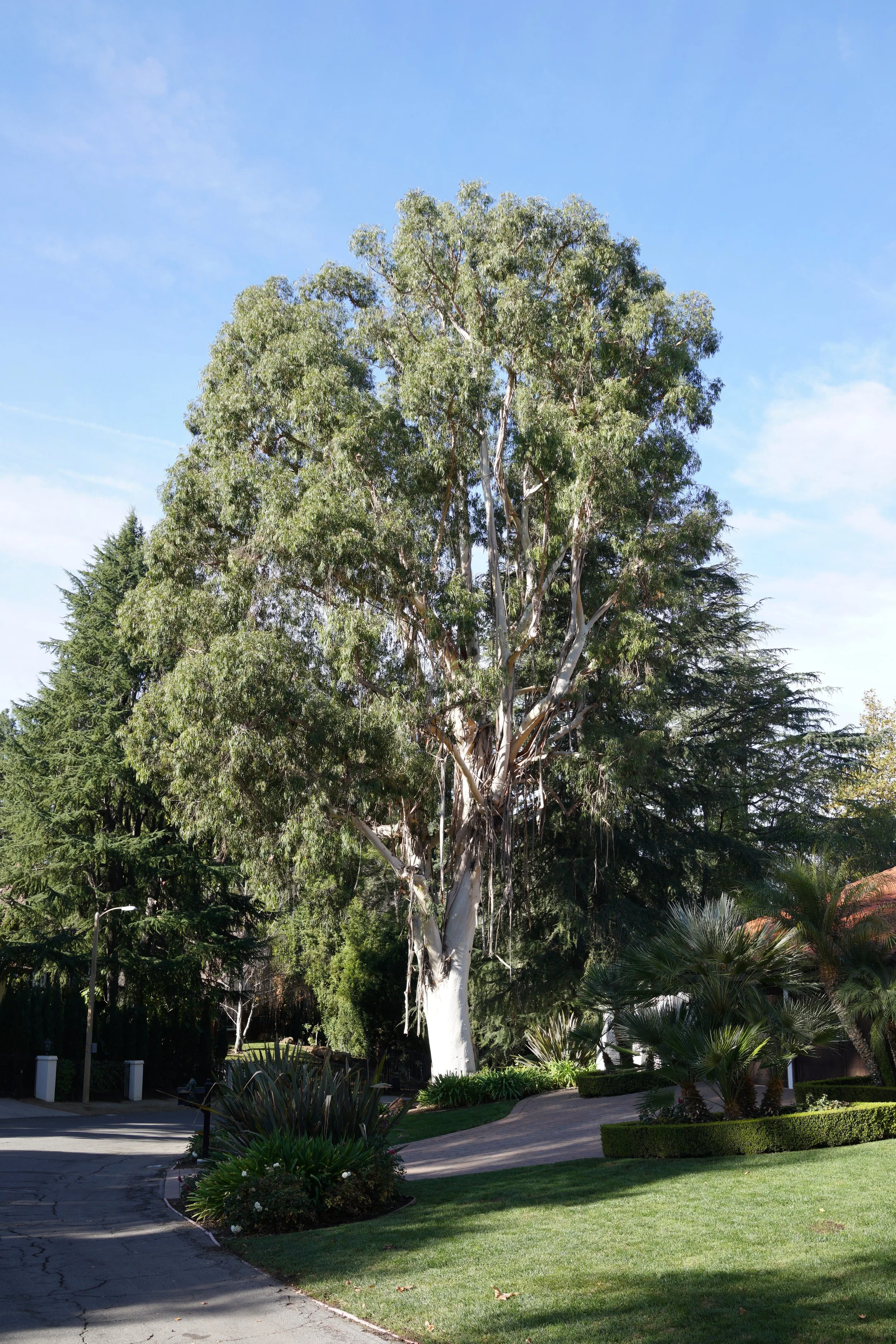  Equilibrium 2023:114 (2023) C-print on wood panel, 60”x40” 