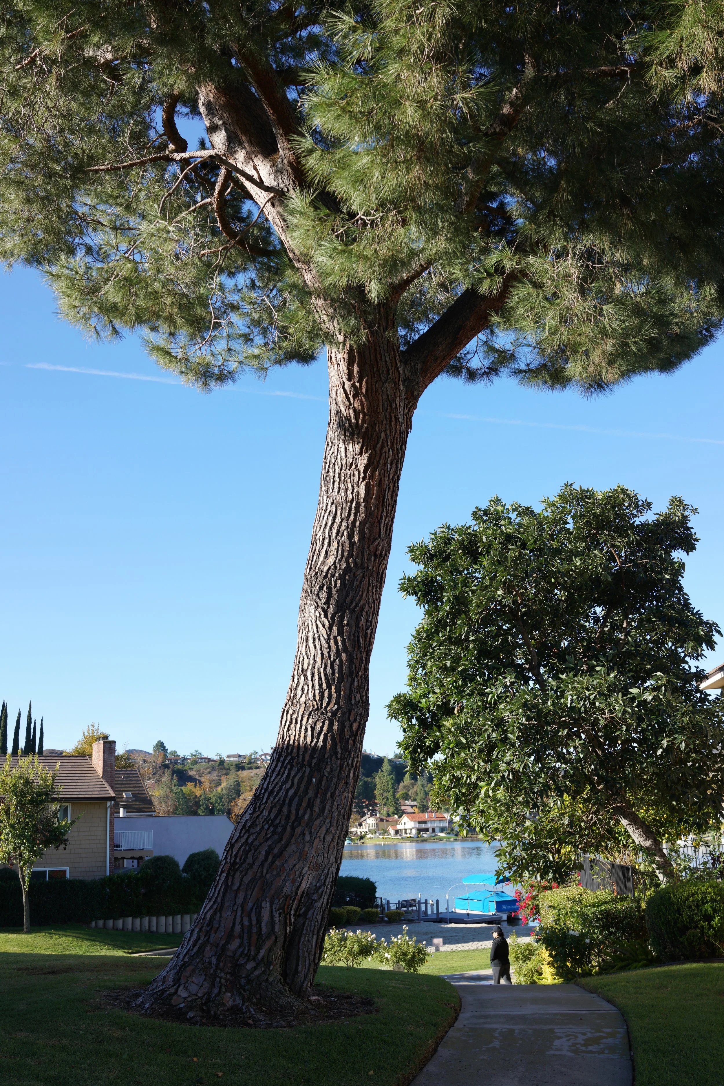  Equilibrium 2023:115 (2023) C-print on wood panel, 60”x40” 