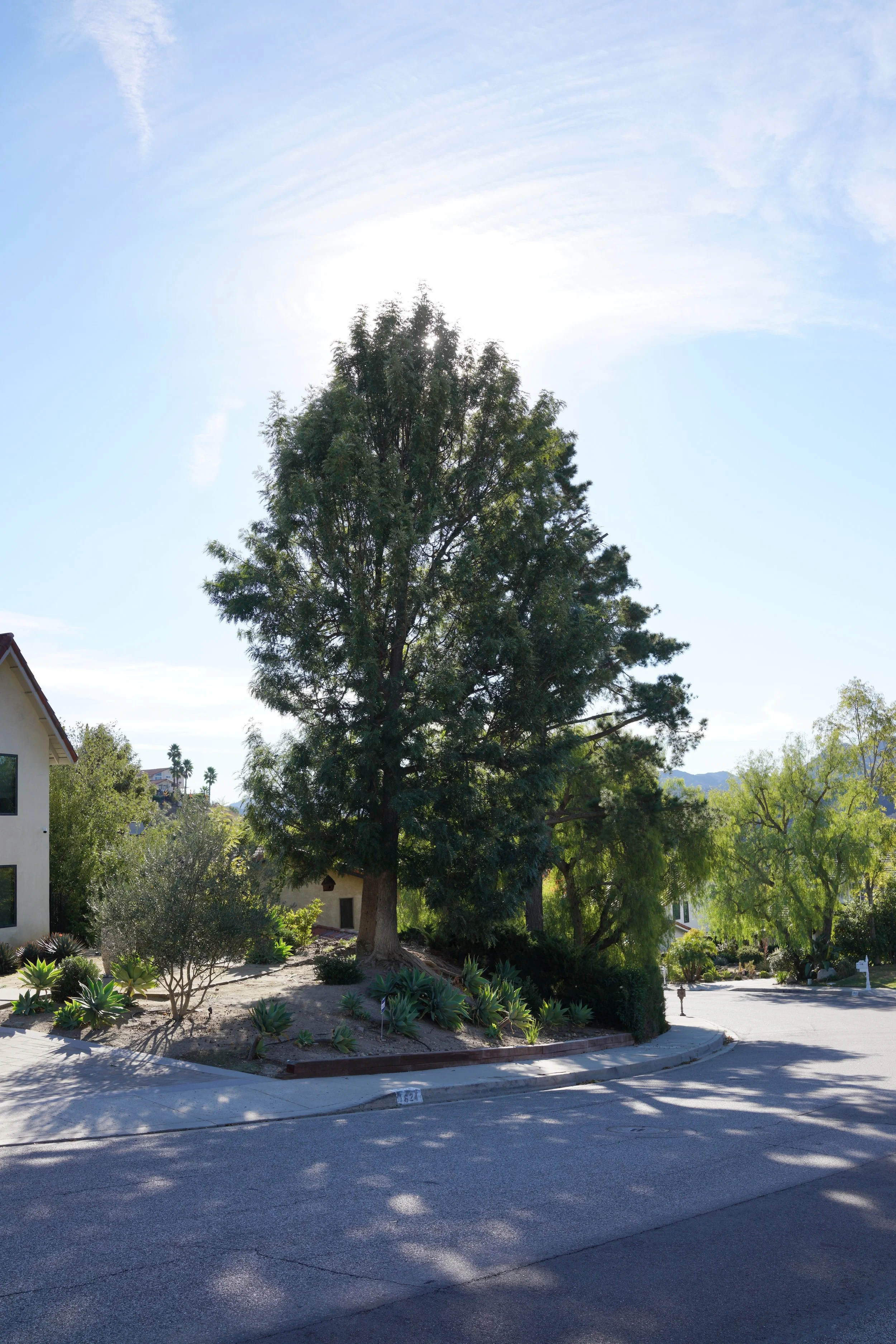  Equilibrium 2023:116 (2023) C-print on wood panel, 60”x40” 