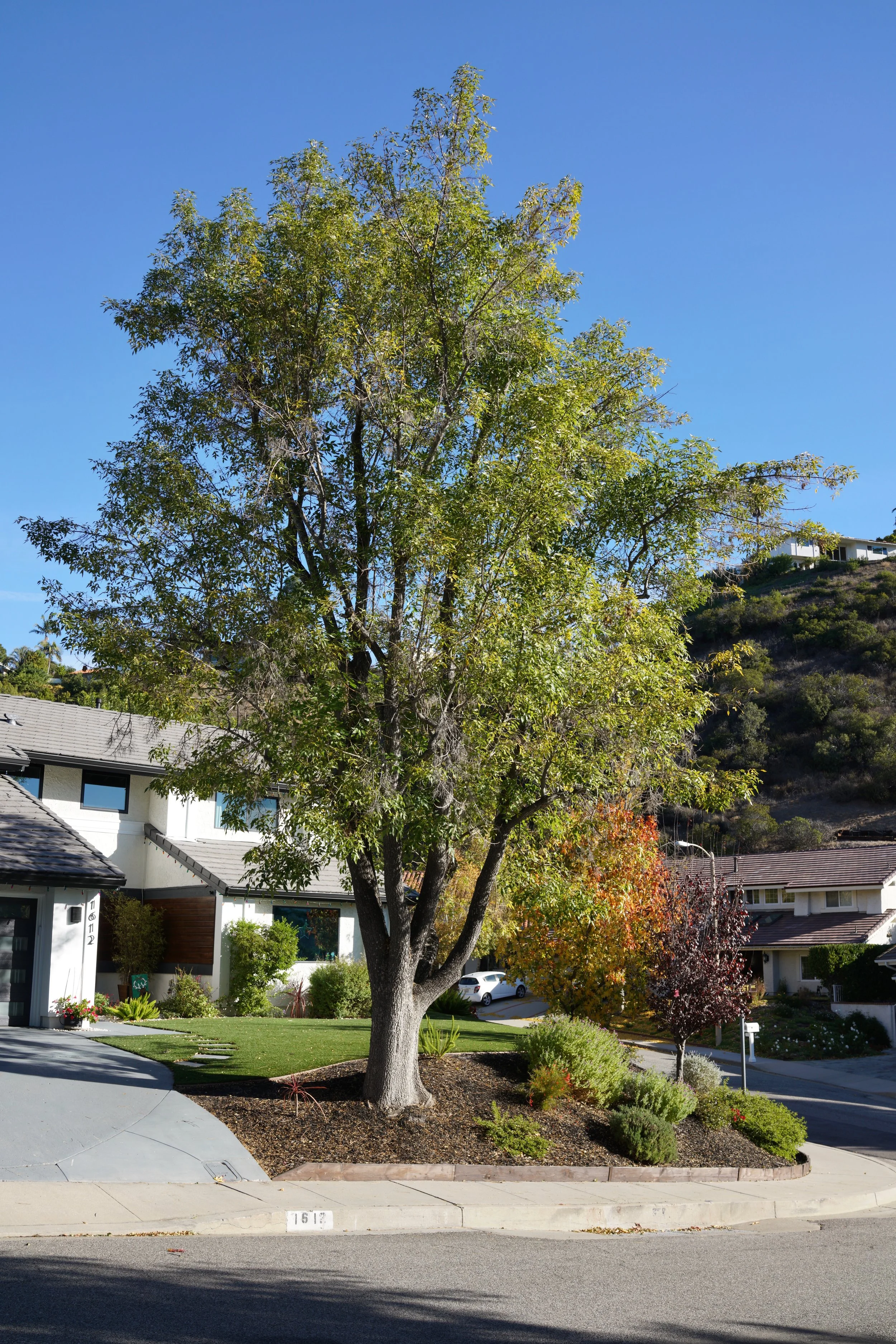  Equilibrium 2023:117 (2023) C-print on wood panel, 60”x40” 