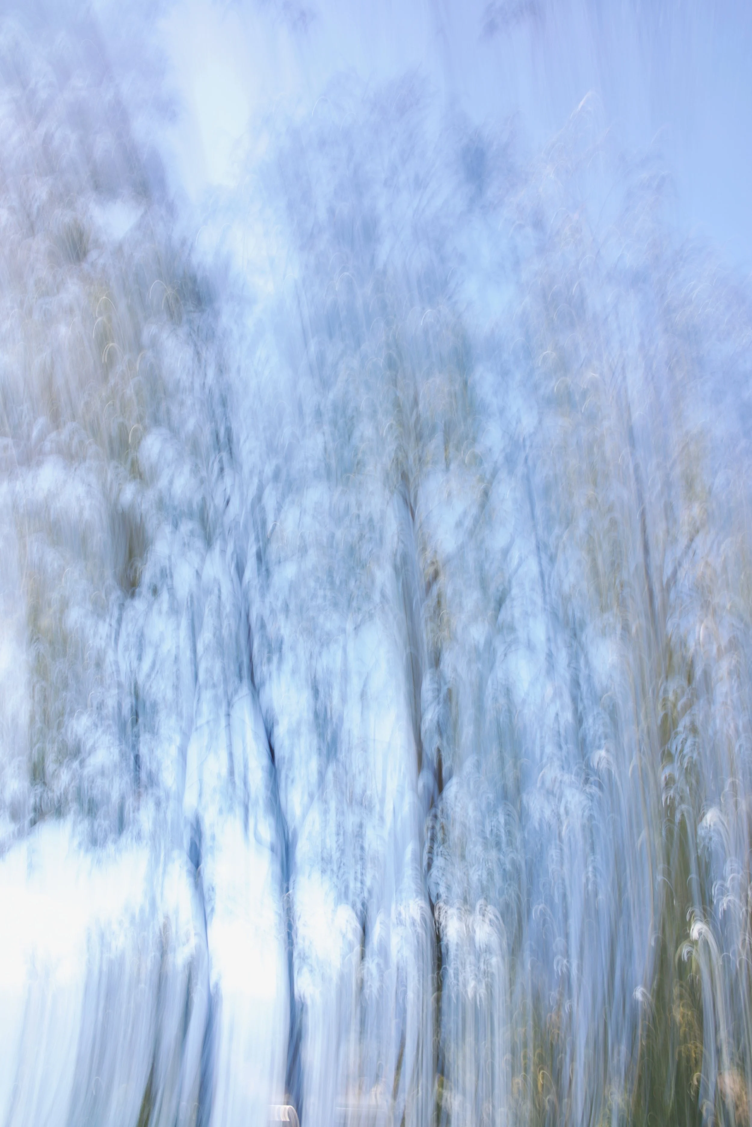  Movement 2023:56 (2023) C-print on wood panel, 60”x40” 