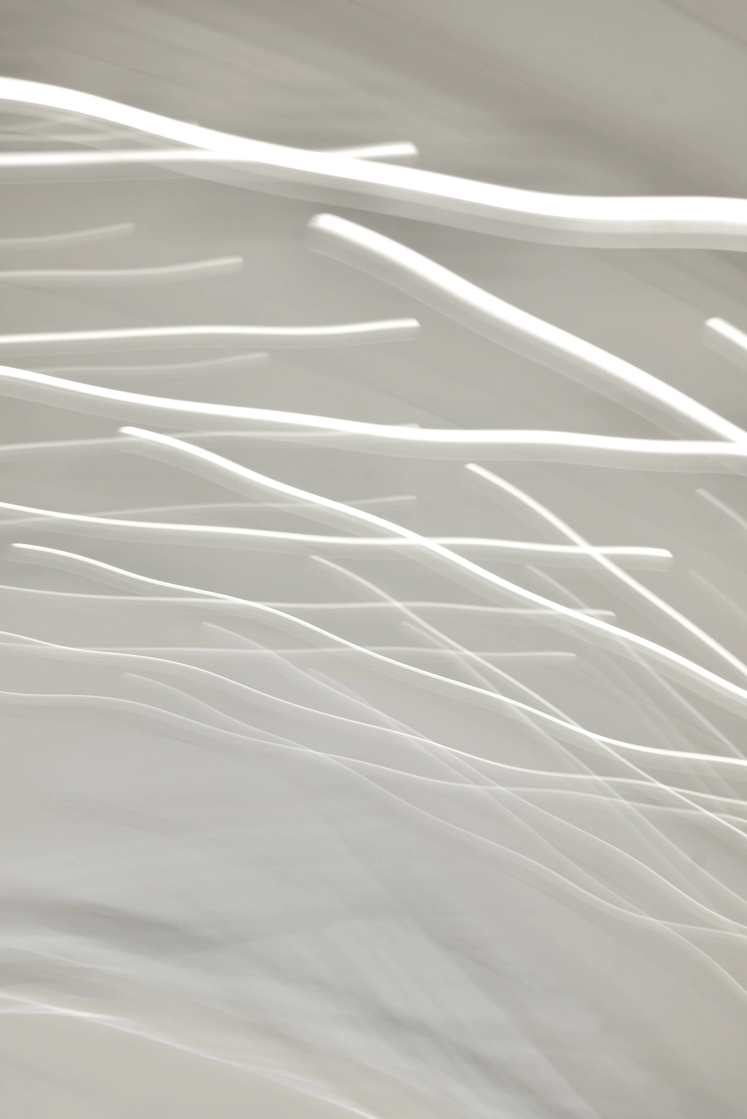  Movement 2023:508 (2023) C-print on wood panel, 60”x40” 