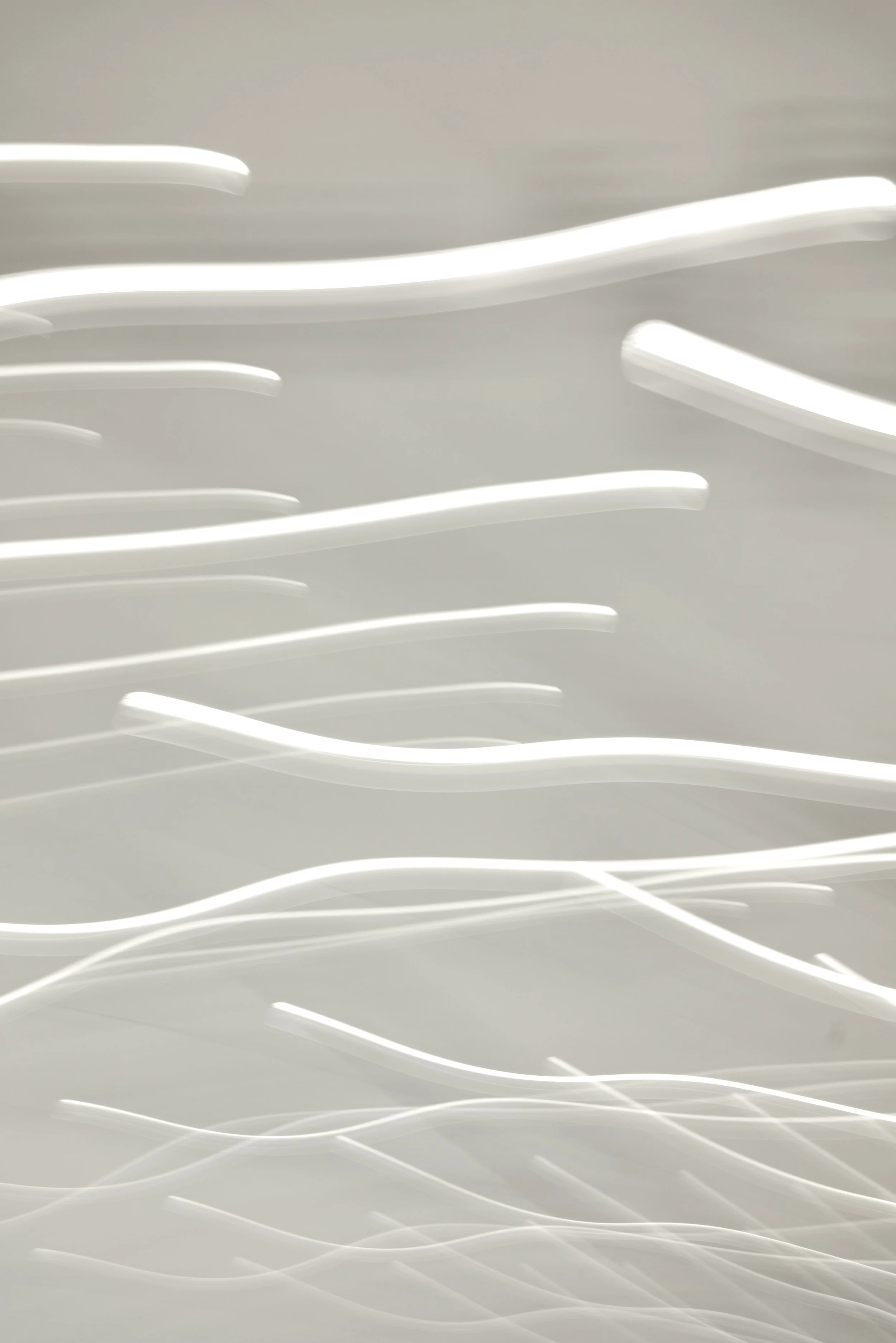  Movement 2023:509 (2023) C-print on wood panel, 60”x40” 