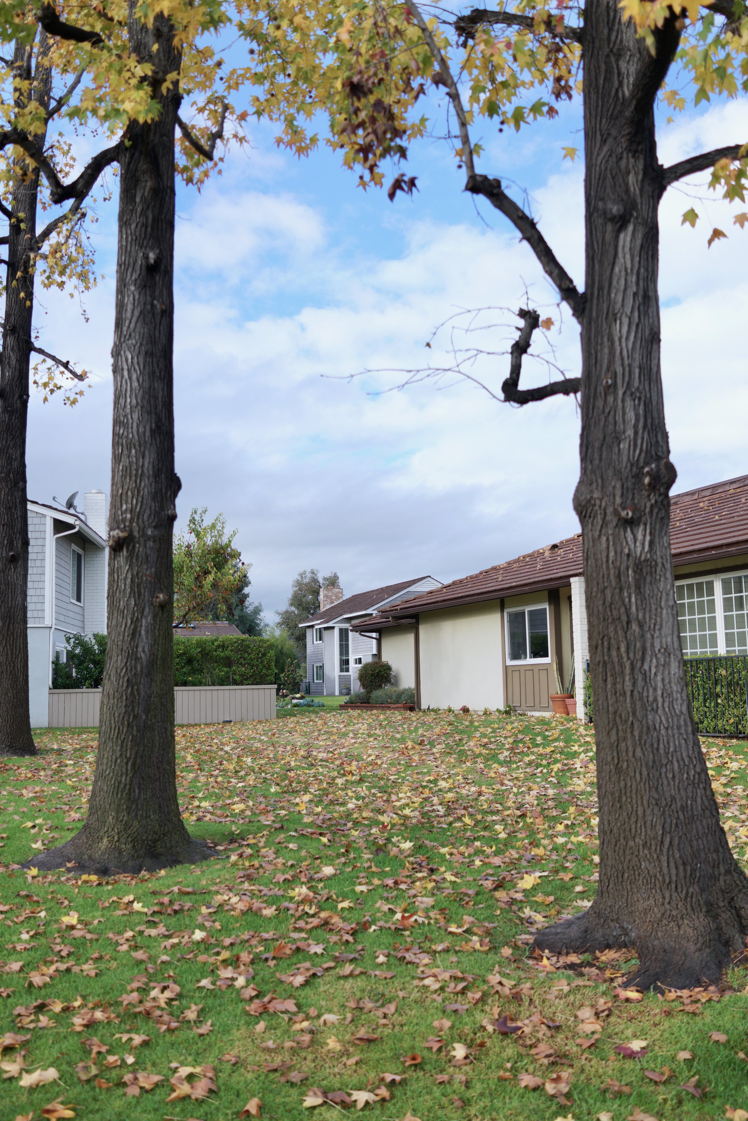  Spaces 2023:58 (2023) C-print on wood panel, 60”x40” 