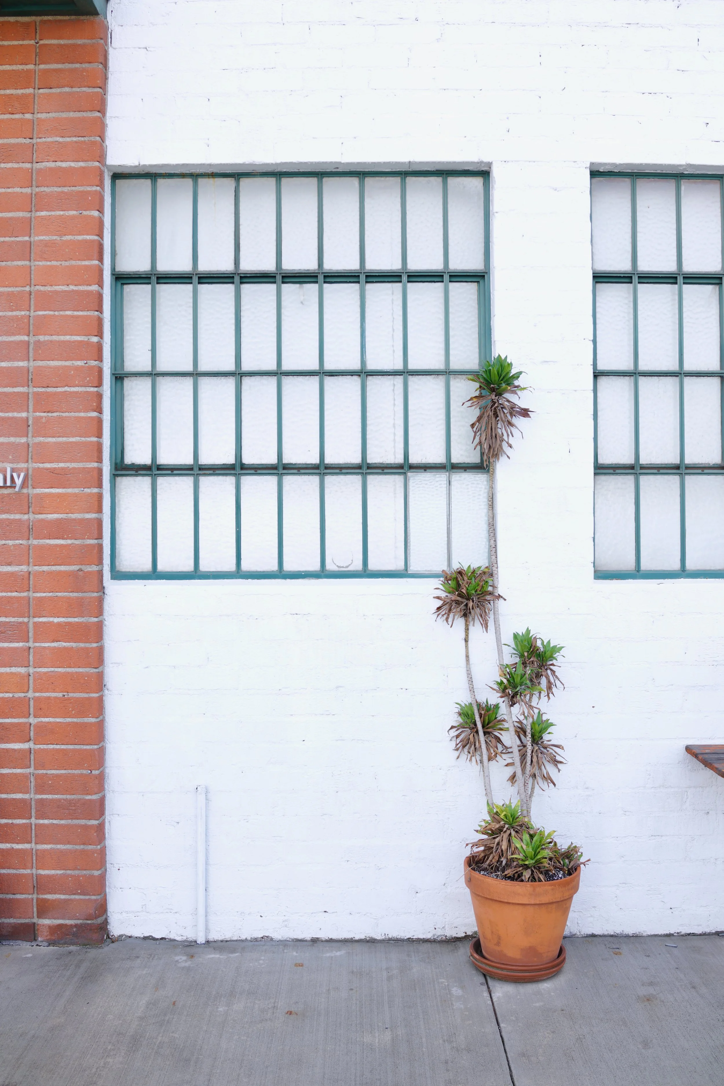  Spaces 2023:60 (2023) C-print on wood panel, 60”x40” 