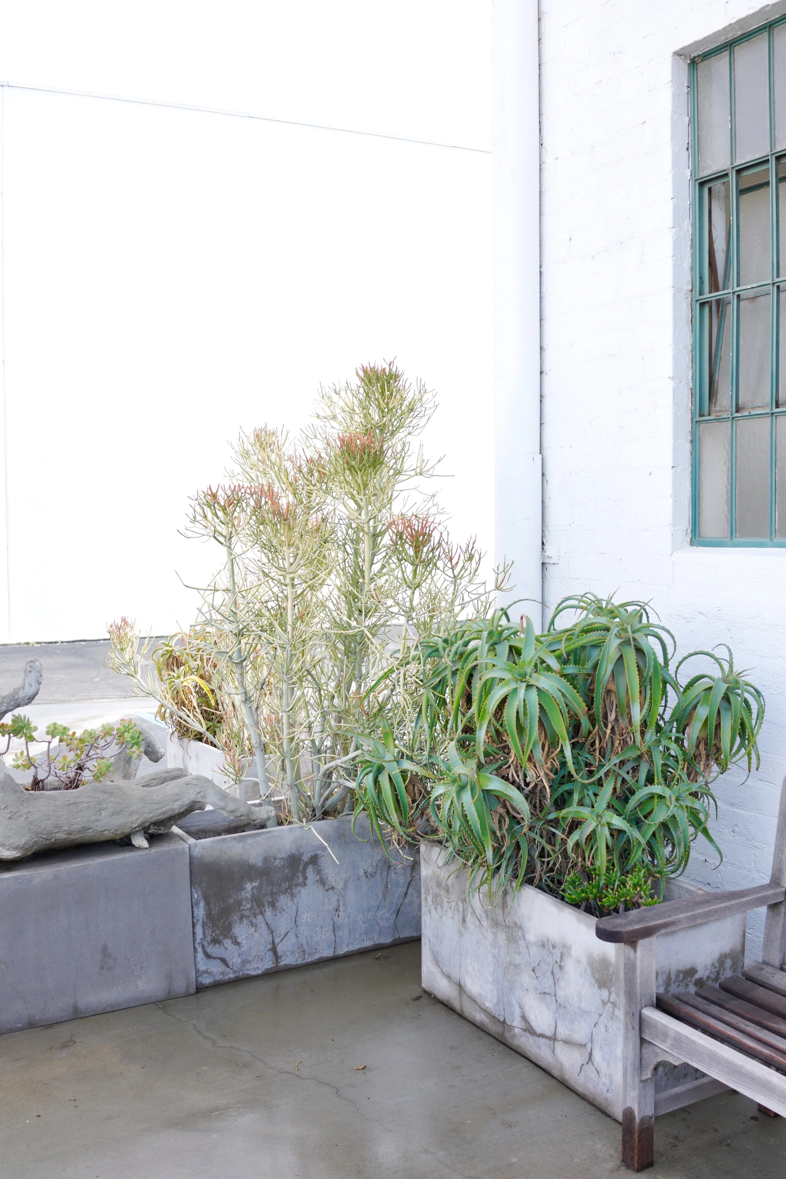  Spaces 2023:61 (2023) C-print on wood panel, 60”x40” 