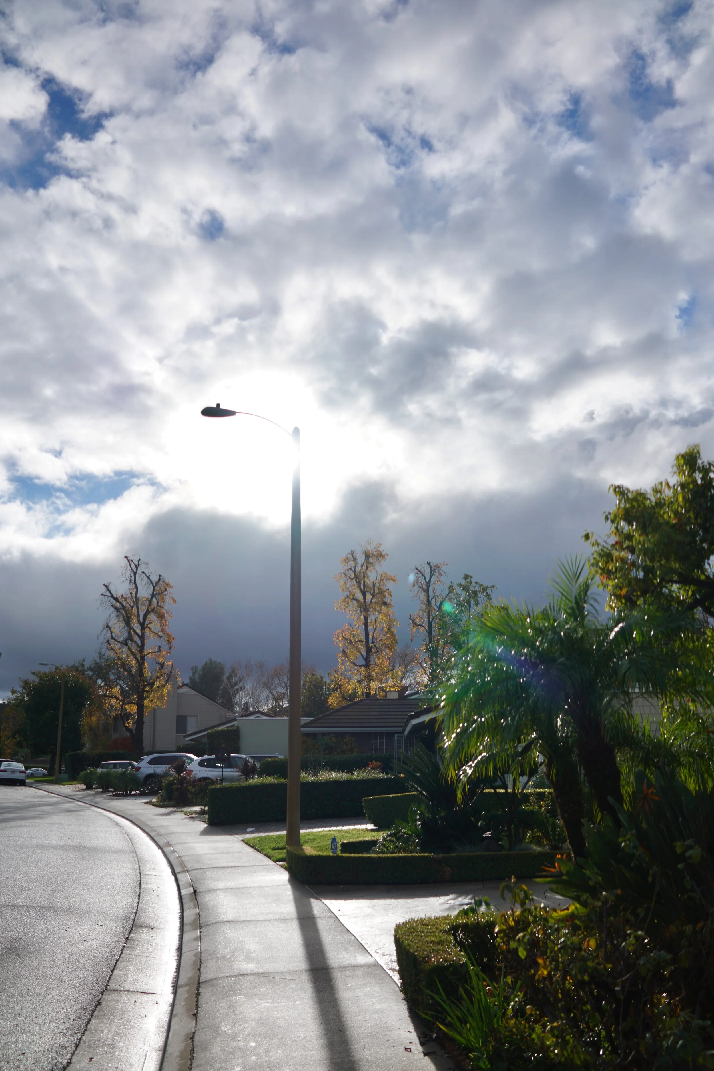  Equilibrium 2023:119 (2023) C-print on wood panel, 60”x40” 