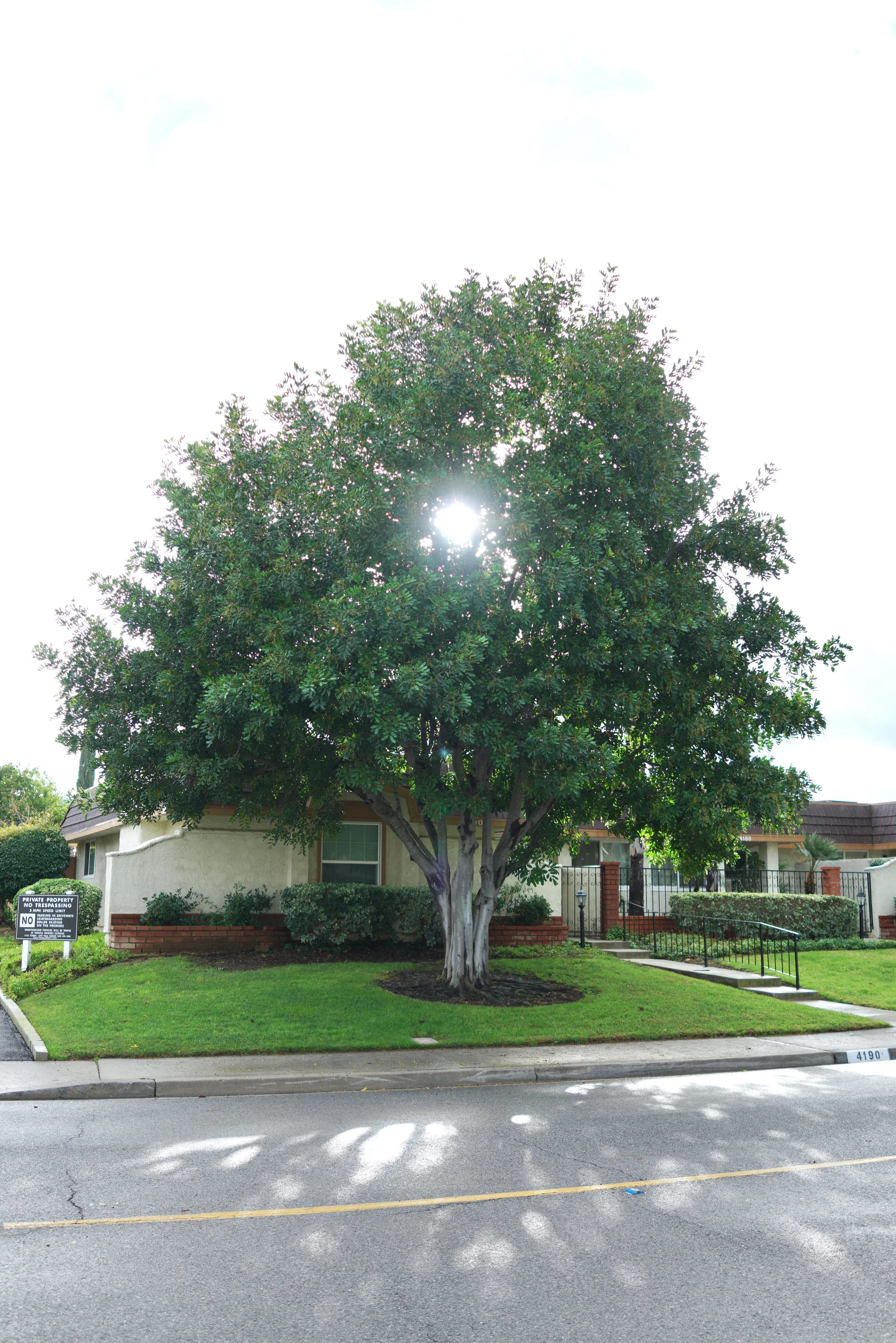  Equilibrium 2023:118 (2023) C-print on wood panel, 60”x40” 