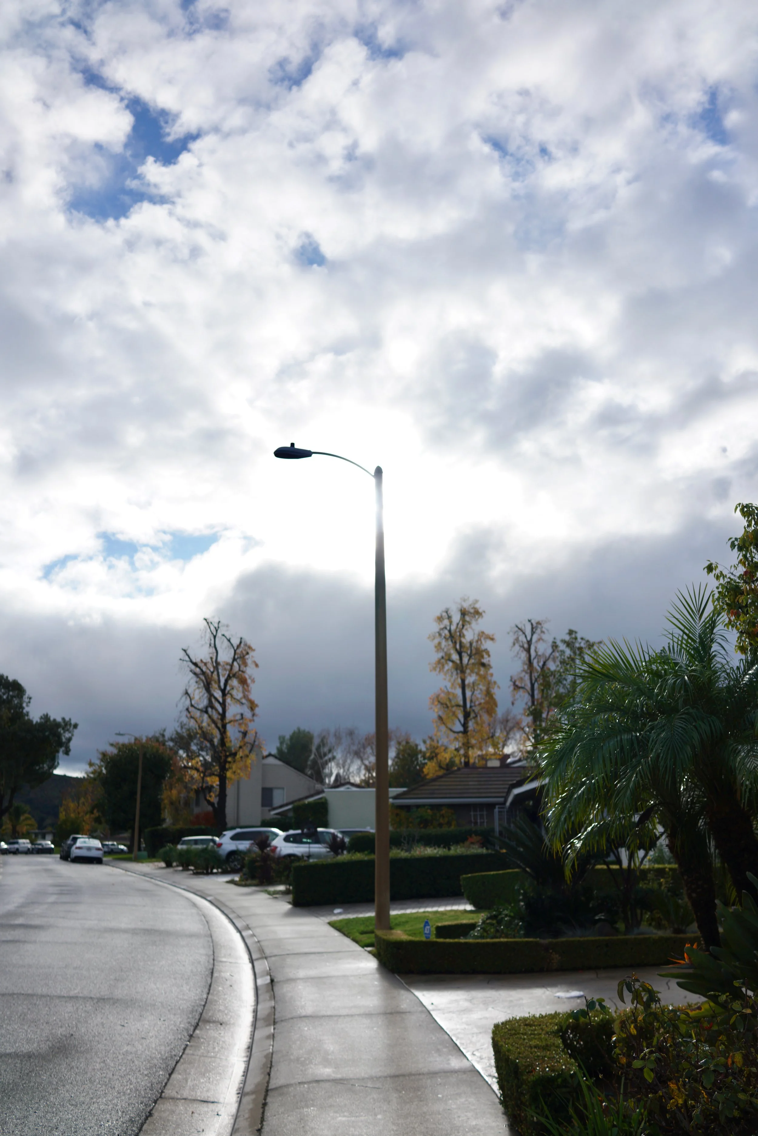  Equilibrium 2023:120 (2023) C-print on wood panel, 60”x40” 