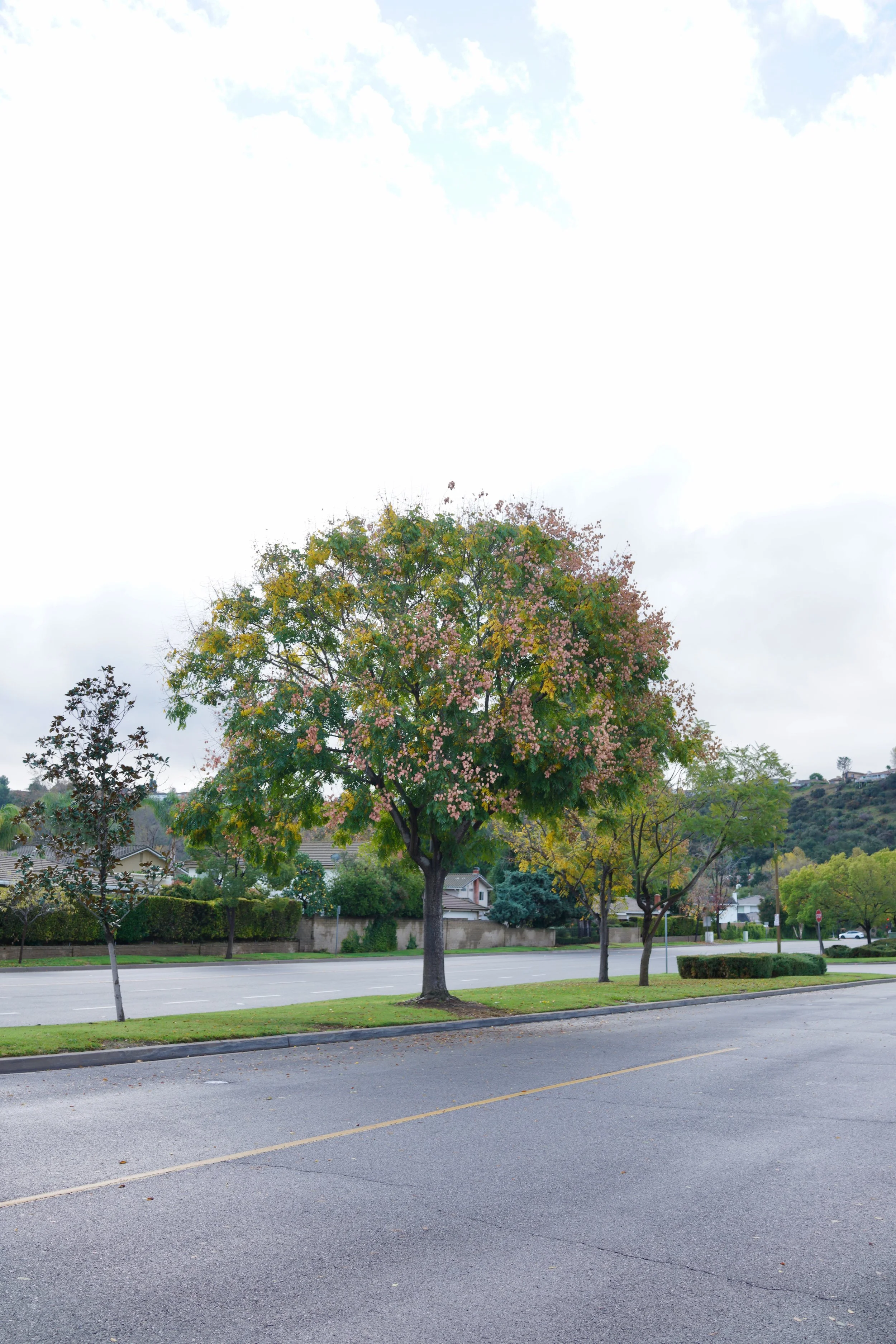  Equilibrium 2023:122 (2023) C-print on wood panel, 60”x40” 