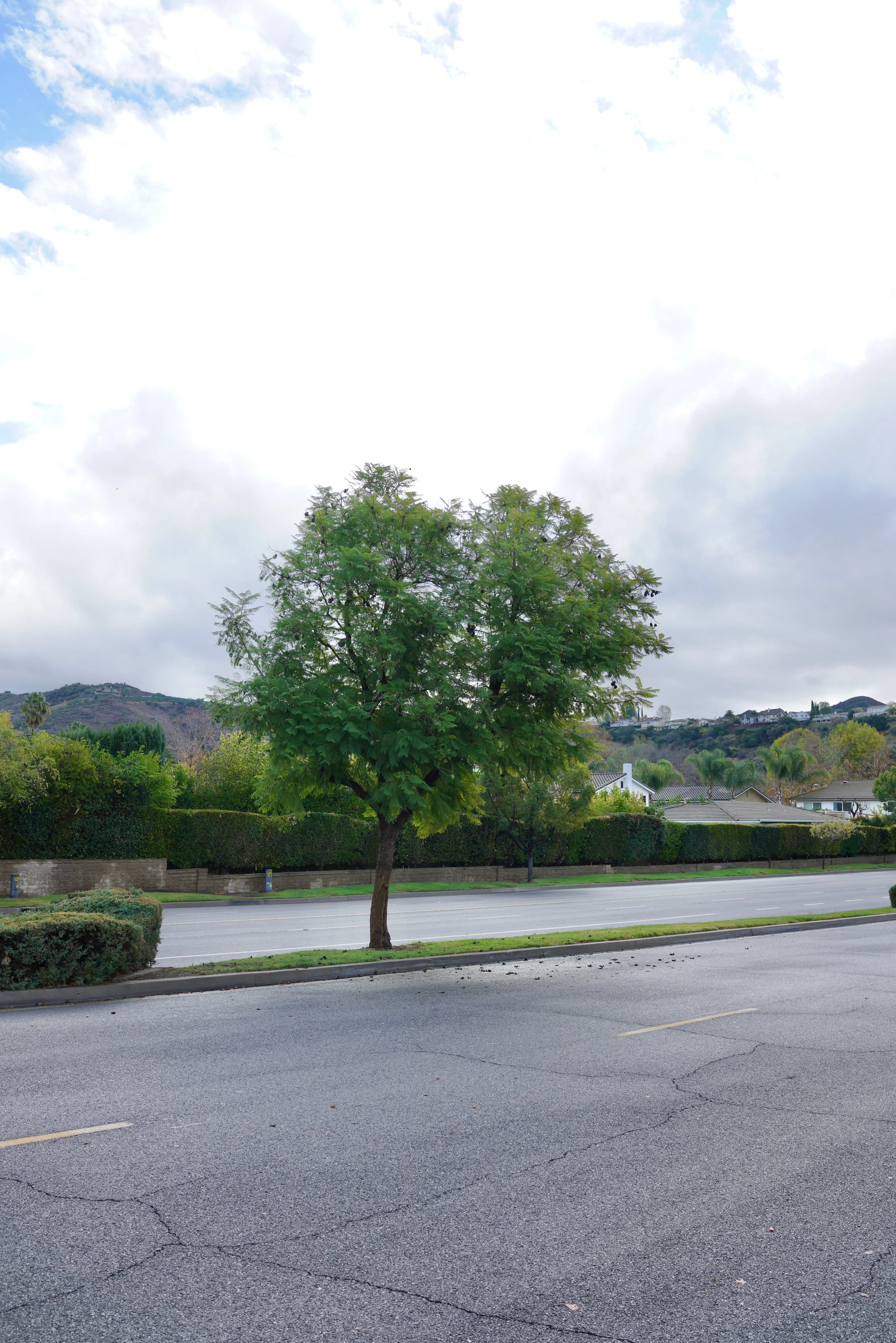  Equilibrium 2023:121 (2023) C-print on wood panel, 60”x40” 