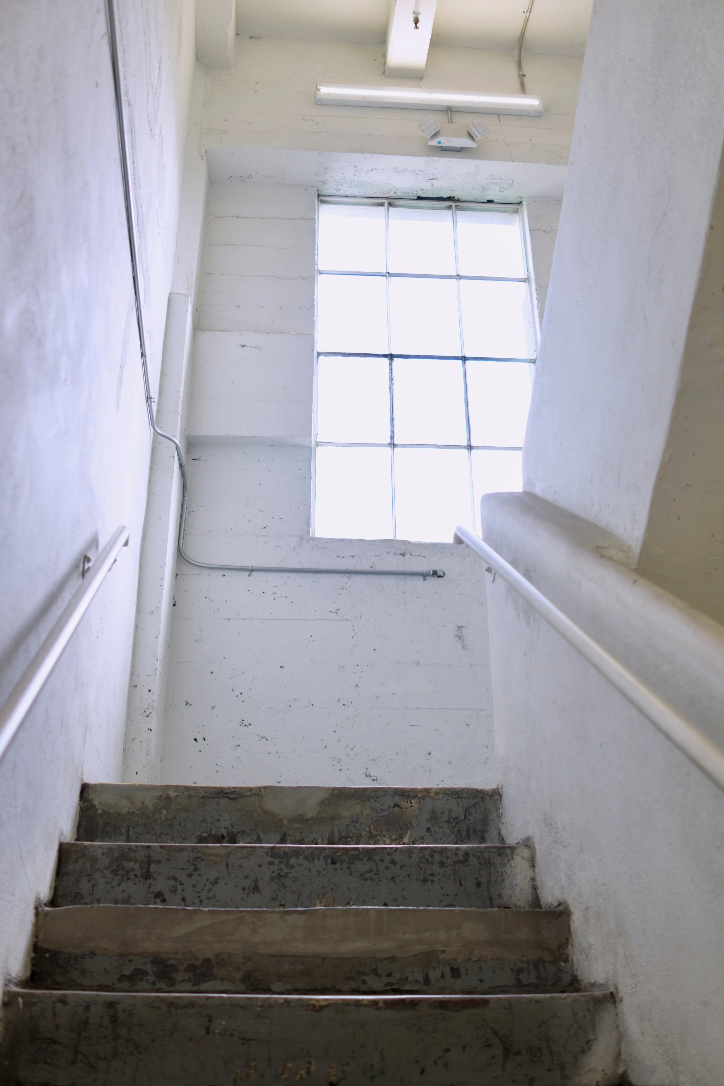  Equilibrium 2023:126 (2023) C-print on wood panel, 60”x40” 