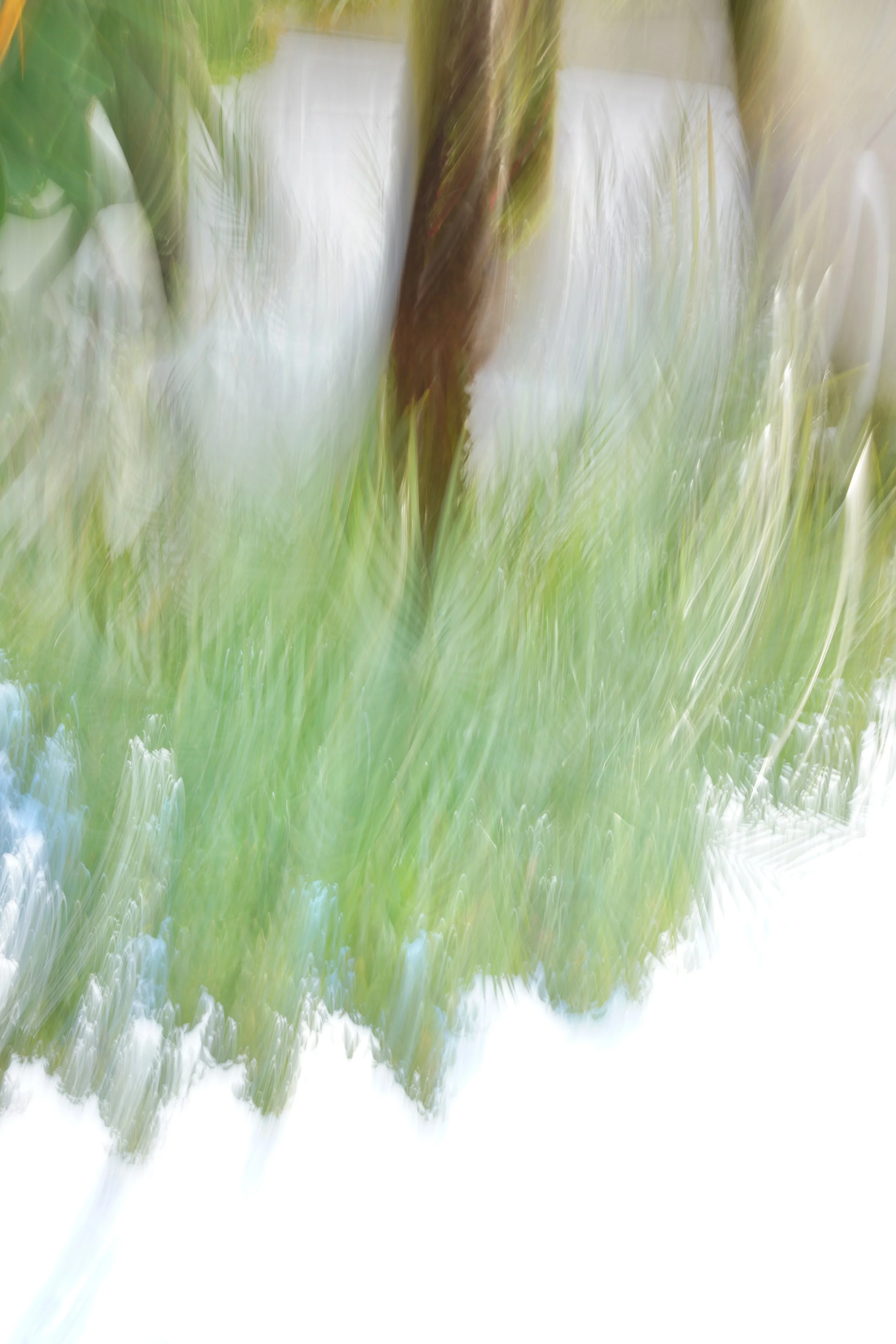  Movement 2023:512 (2023) C-print on wood panel, 60”x40” 