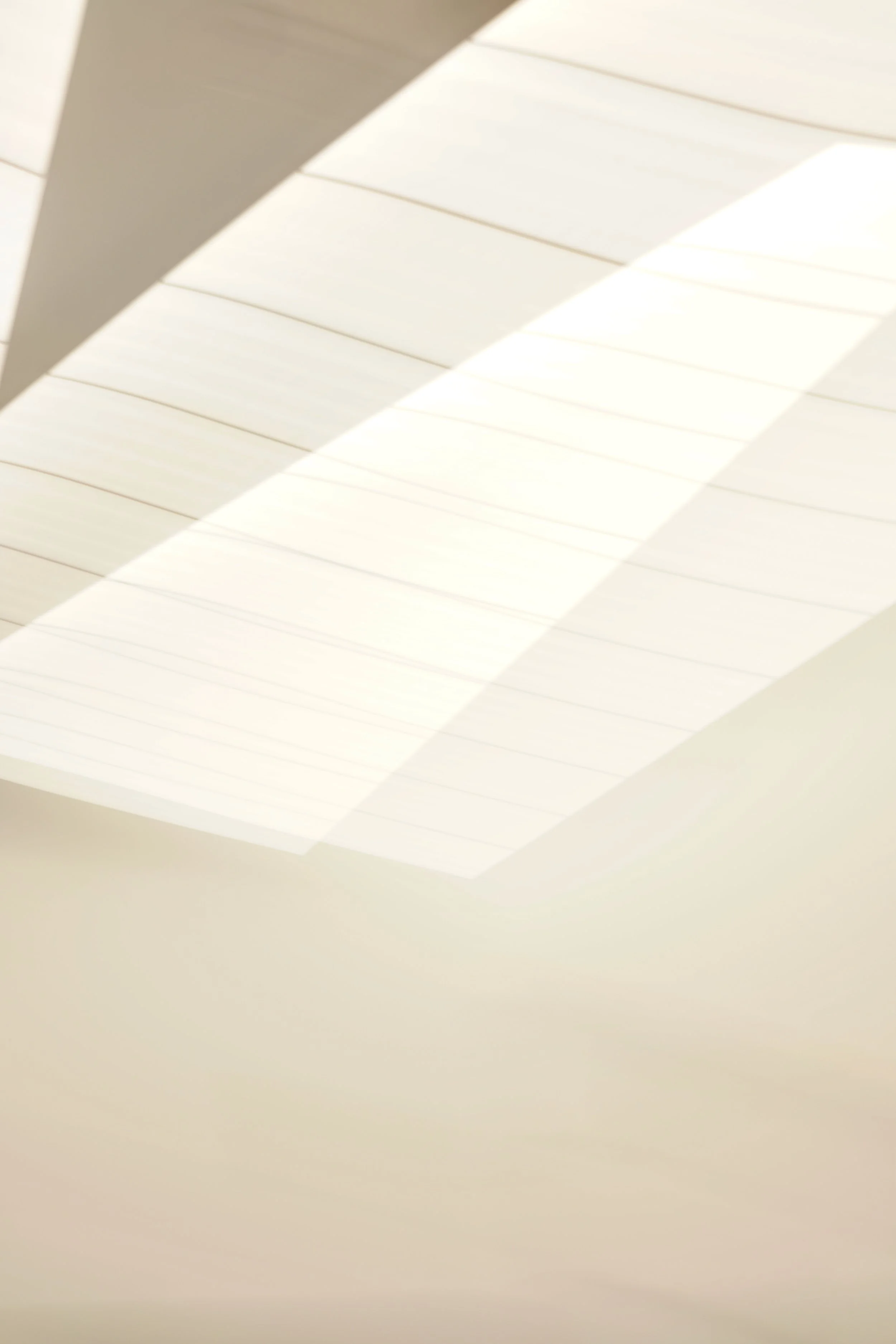  Movement 2023:521 (2023) C-print on wood panel, 60”x40” 