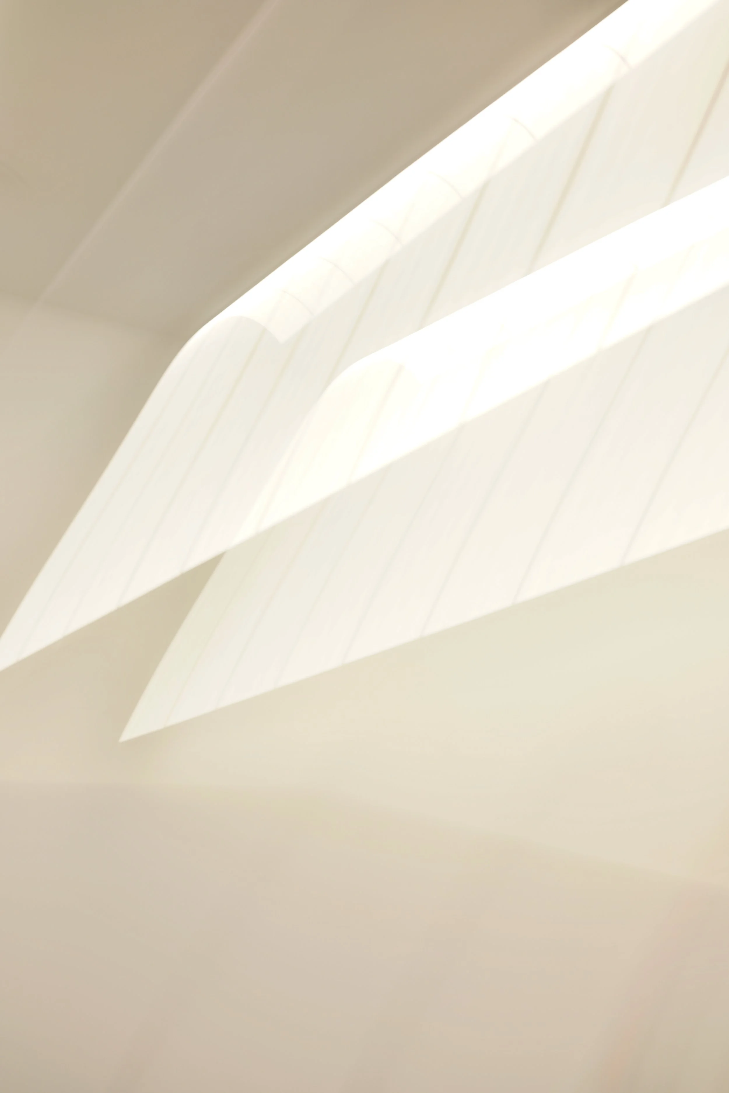  Movement 2023:525 (2023) C-print on wood panel, 60”x40” 